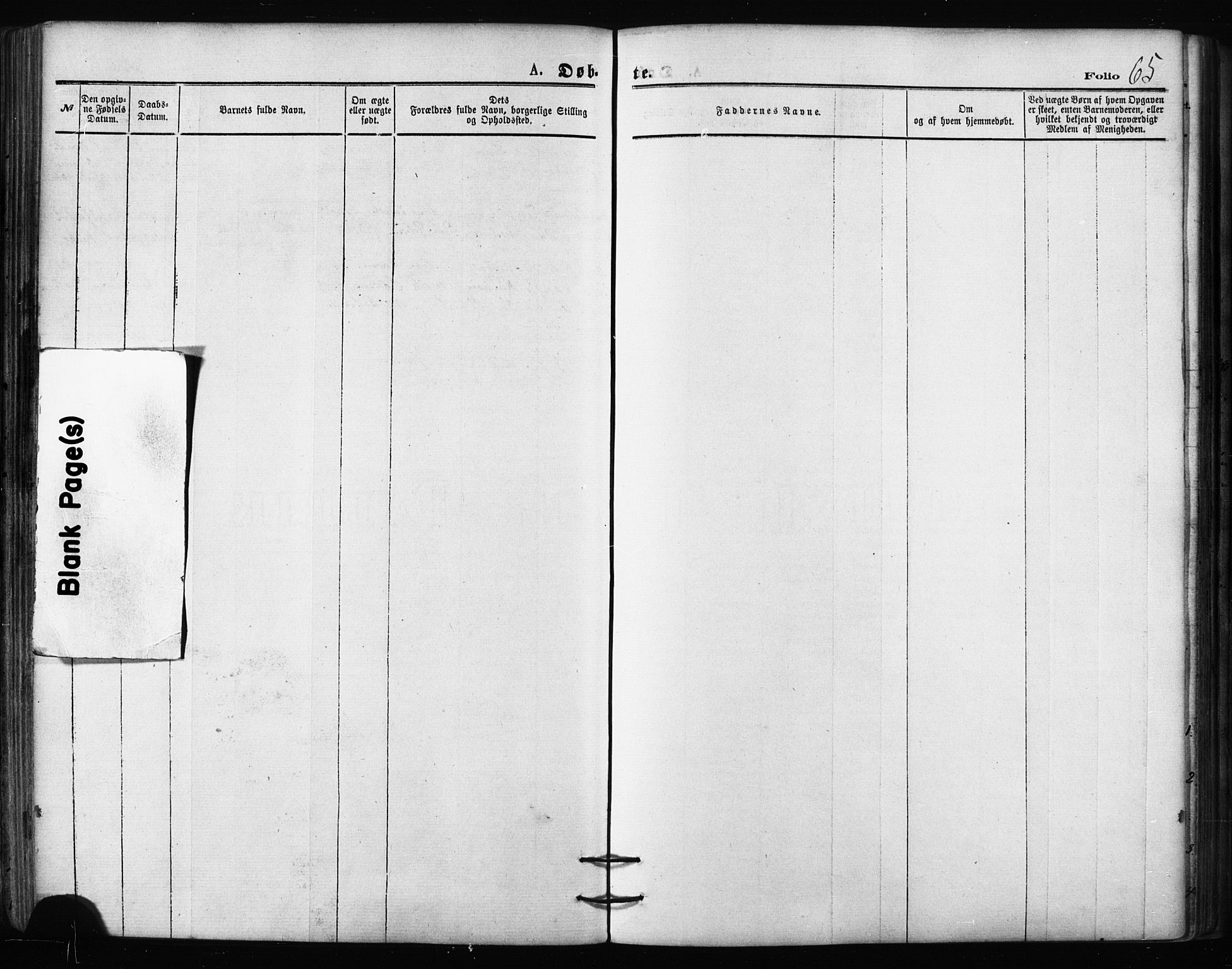 Balsfjord sokneprestembete, AV/SATØ-S-1303/G/Ga/L0002kirke: Parish register (official) no. 2, 1871-1886, p. 65