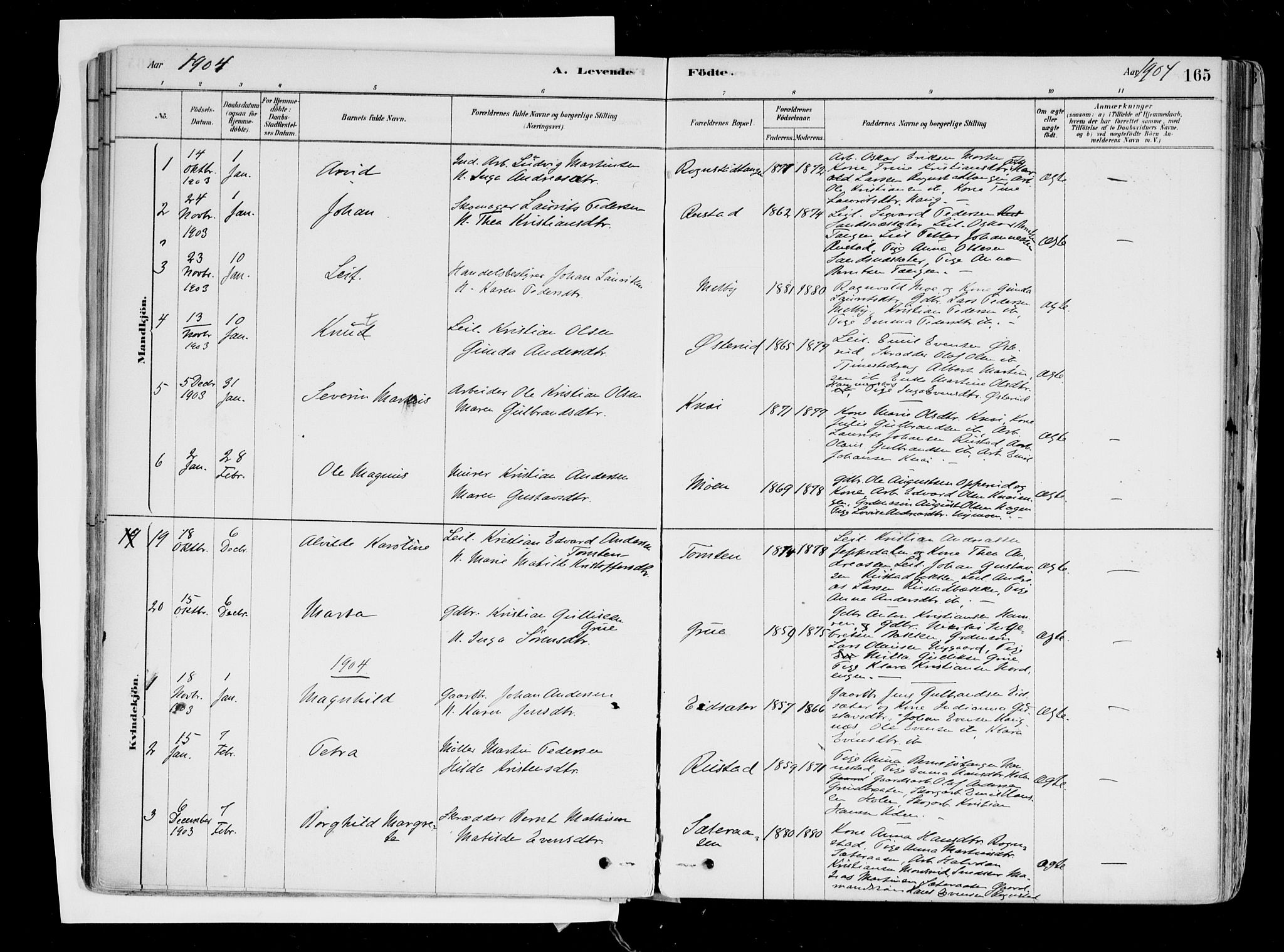Hurdal prestekontor Kirkebøker, SAO/A-10889/F/Fa/L0007: Parish register (official) no. I 7, 1878-1906, p. 165