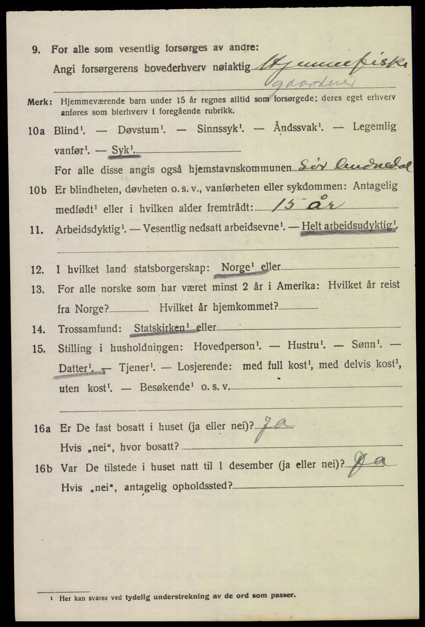 SAK, 1920 census for Sør-Audnedal, 1920, p. 4196