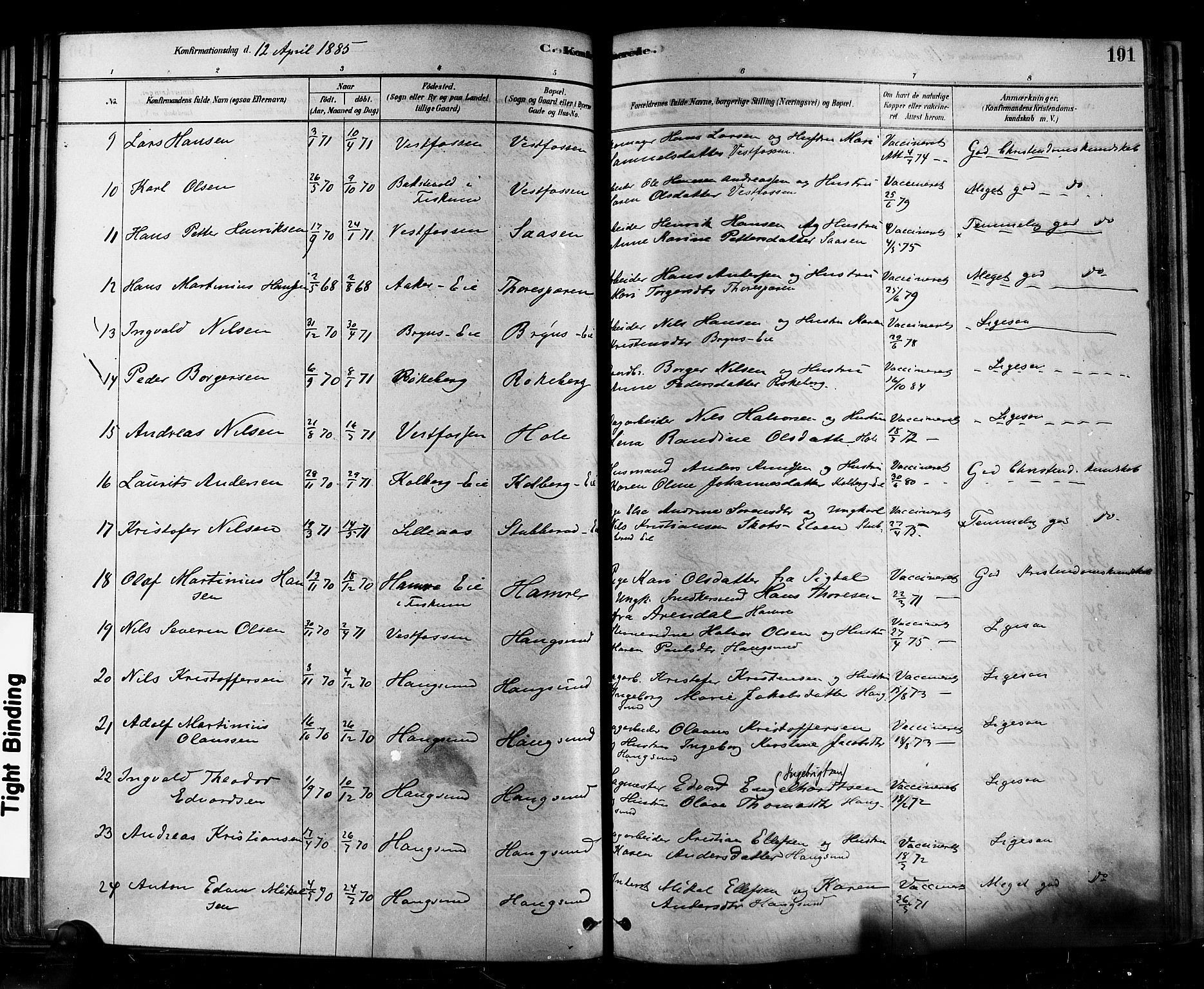 Eiker kirkebøker, AV/SAKO-A-4/F/Fb/L0001: Parish register (official) no. II 1, 1878-1888, p. 191