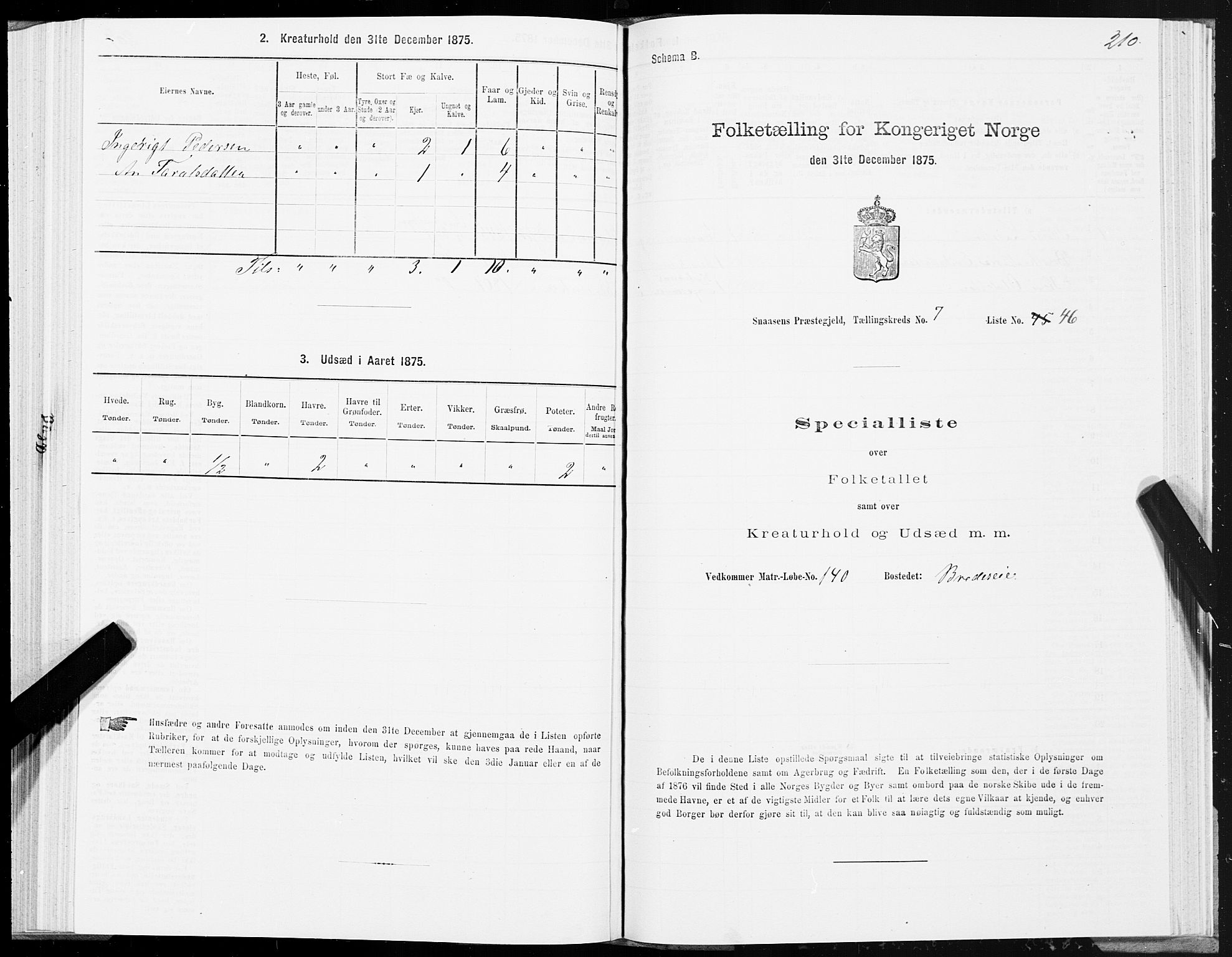 SAT, 1875 census for 1736P Snåsa, 1875, p. 3210