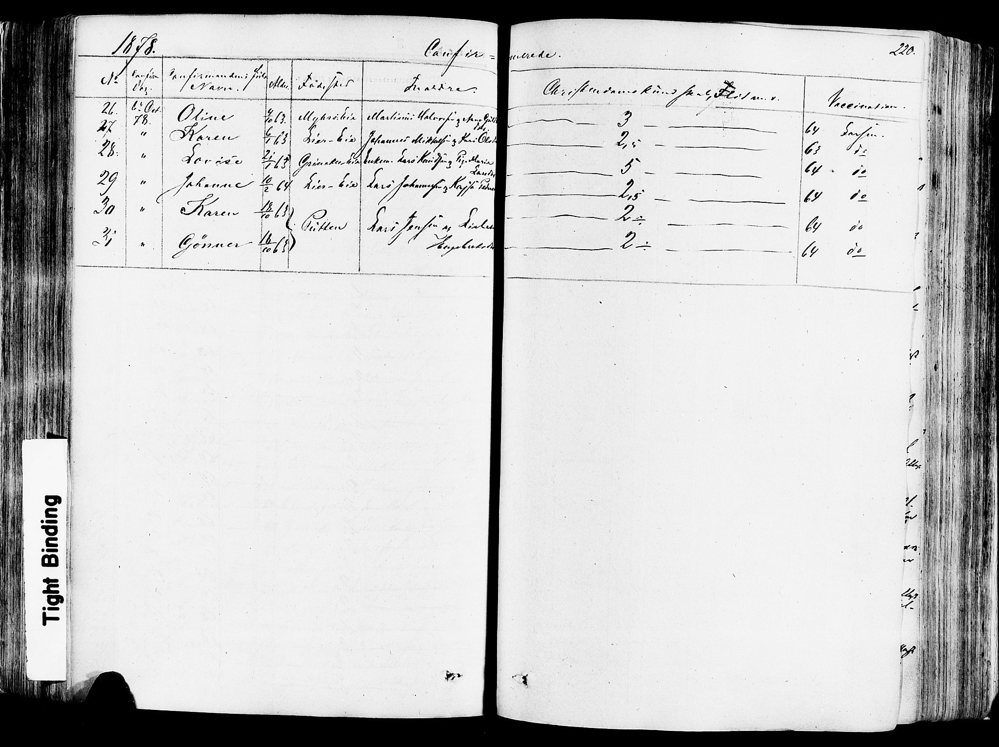Vang prestekontor, Hedmark, SAH/PREST-008/H/Ha/Haa/L0013: Parish register (official) no. 13, 1855-1879, p. 220