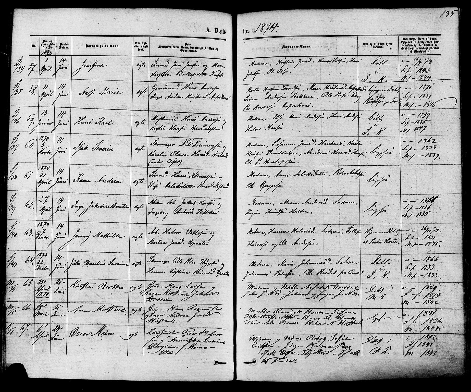 Solum kirkebøker, AV/SAKO-A-306/F/Fa/L0008: Parish register (official) no. I 8, 1865-1876, p. 135