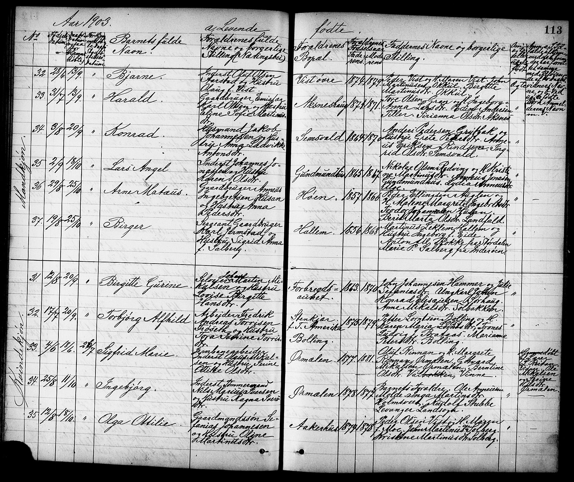 Ministerialprotokoller, klokkerbøker og fødselsregistre - Nord-Trøndelag, SAT/A-1458/723/L0257: Parish register (copy) no. 723C05, 1890-1907, p. 113