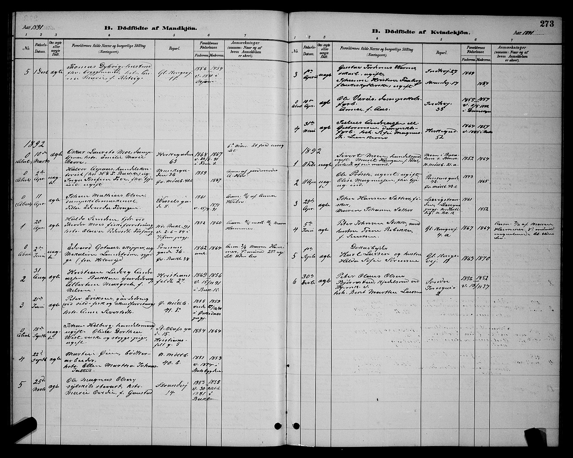 Ministerialprotokoller, klokkerbøker og fødselsregistre - Sør-Trøndelag, SAT/A-1456/604/L0222: Parish register (copy) no. 604C05, 1886-1895, p. 273
