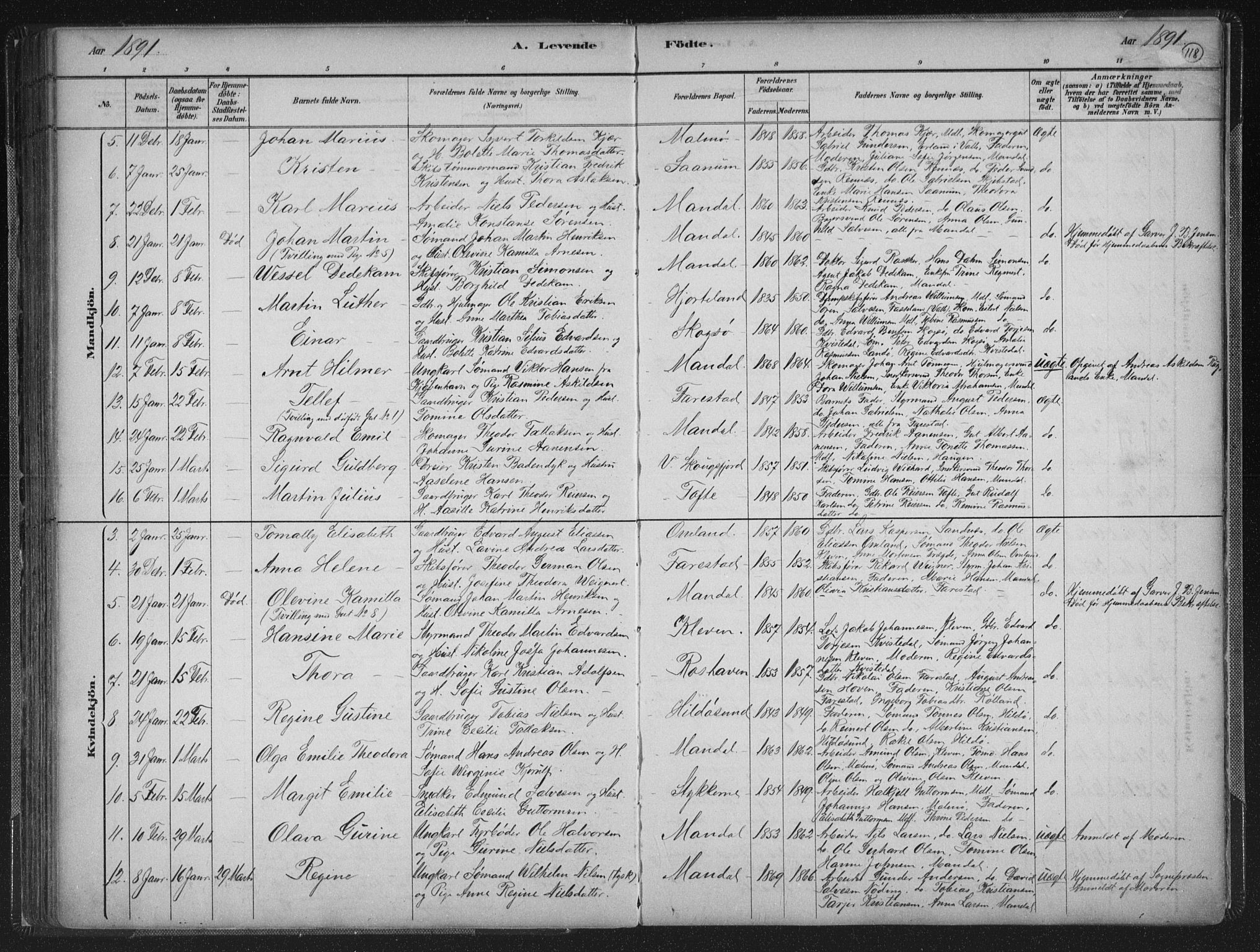 Mandal sokneprestkontor, AV/SAK-1111-0030/F/Fb/Fba/L0011: Parish register (copy) no. B 5, 1880-1898, p. 118