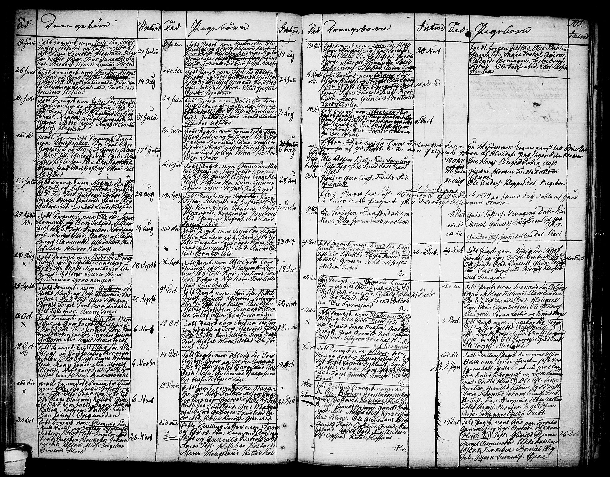 Kviteseid kirkebøker, SAKO/A-276/F/Fa/L0004: Parish register (official) no. I 4, 1800-1814, p. 101