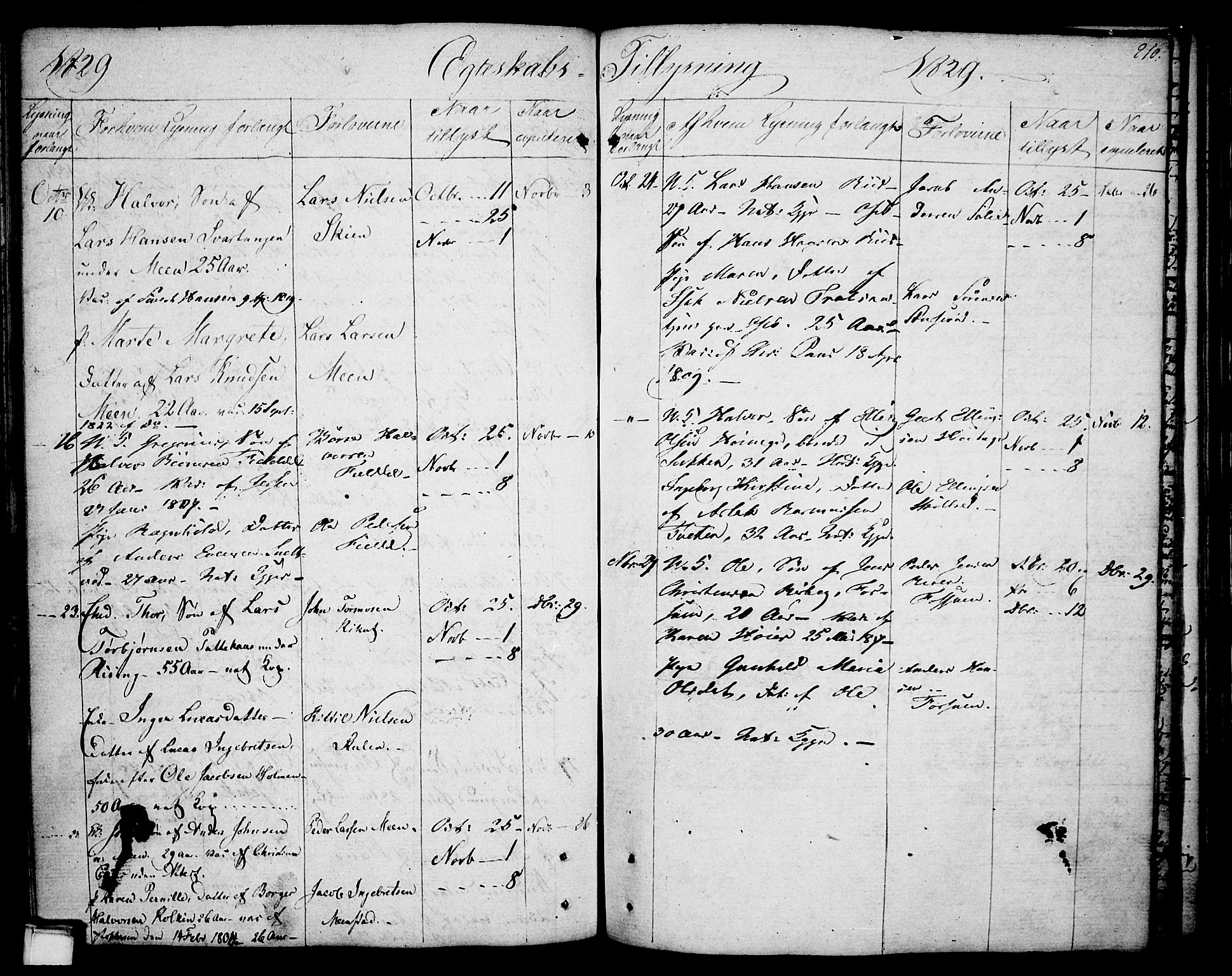 Gjerpen kirkebøker, SAKO/A-265/F/Fa/L0003: Parish register (official) no. I 3, 1796-1814, p. 210
