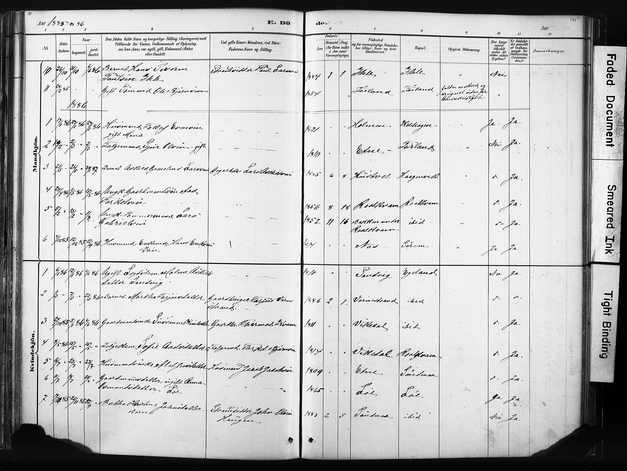 Vikedal sokneprestkontor, AV/SAST-A-101840/01/IV: Parish register (official) no. A 10, 1884-1907, p. 141