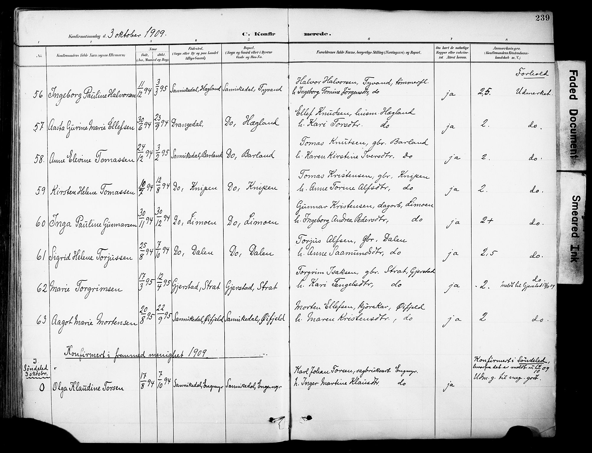 Sannidal kirkebøker, SAKO/A-296/F/Fa/L0016: Parish register (official) no. 16, 1895-1911, p. 239