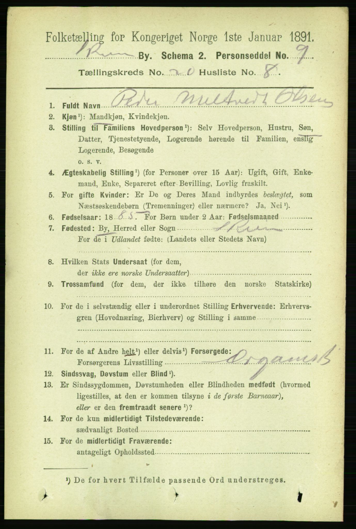 RA, 1891 census for 0806 Skien, 1891, p. 5185