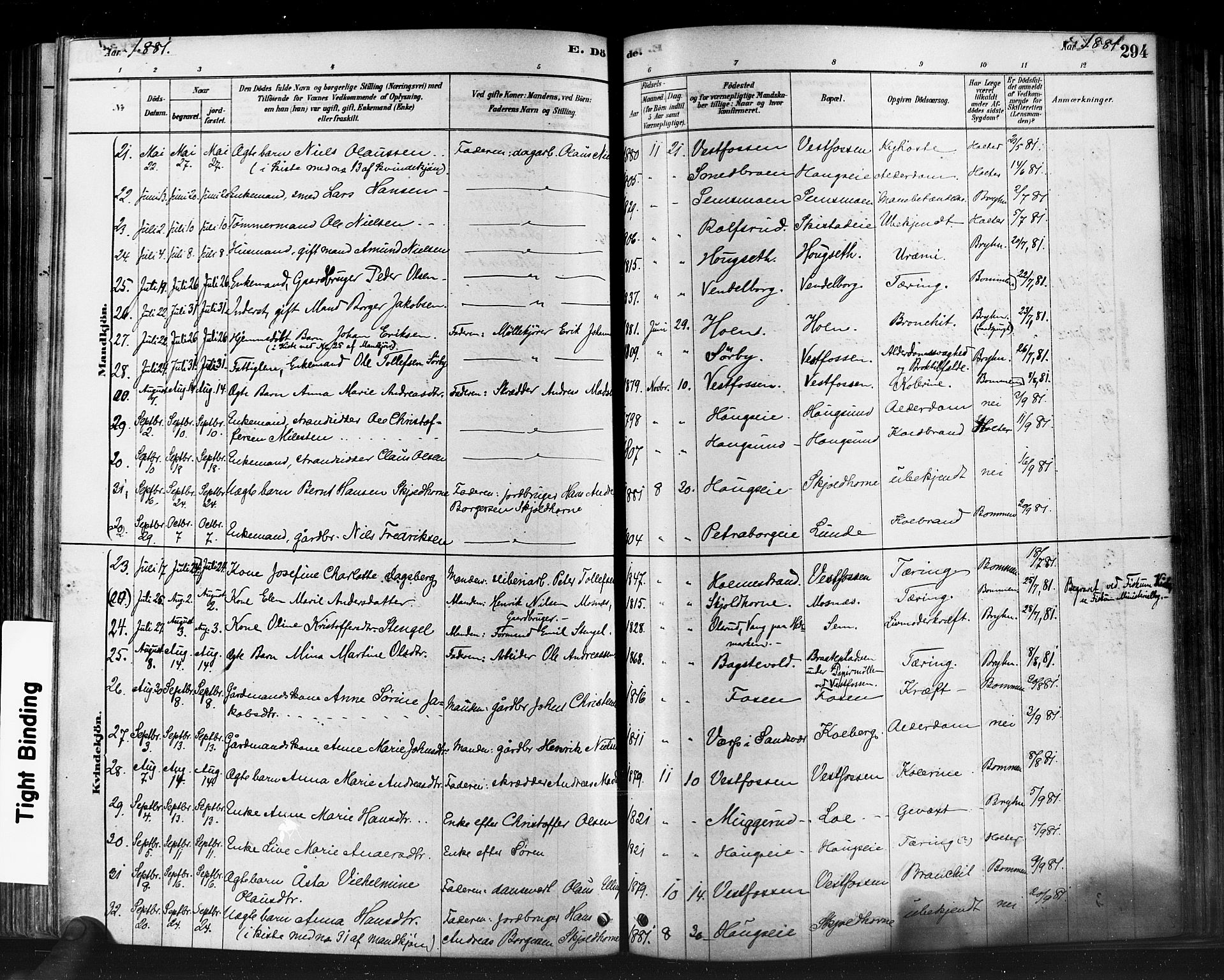 Eiker kirkebøker, AV/SAKO-A-4/F/Fb/L0001: Parish register (official) no. II 1, 1878-1888, p. 294