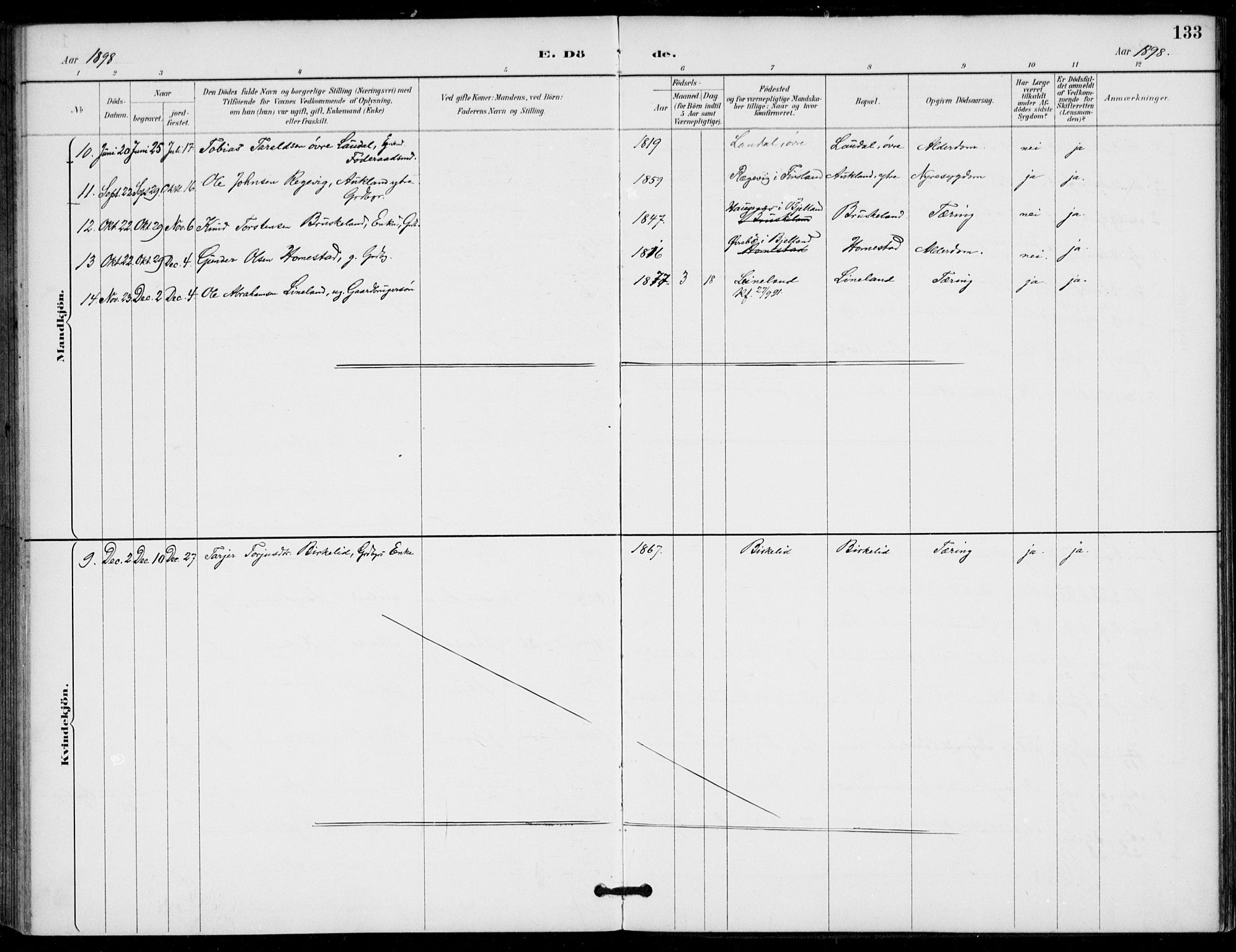 Holum sokneprestkontor, AV/SAK-1111-0022/F/Fa/Fab/L0007: Parish register (official) no. A 7, 1887-1912, p. 133