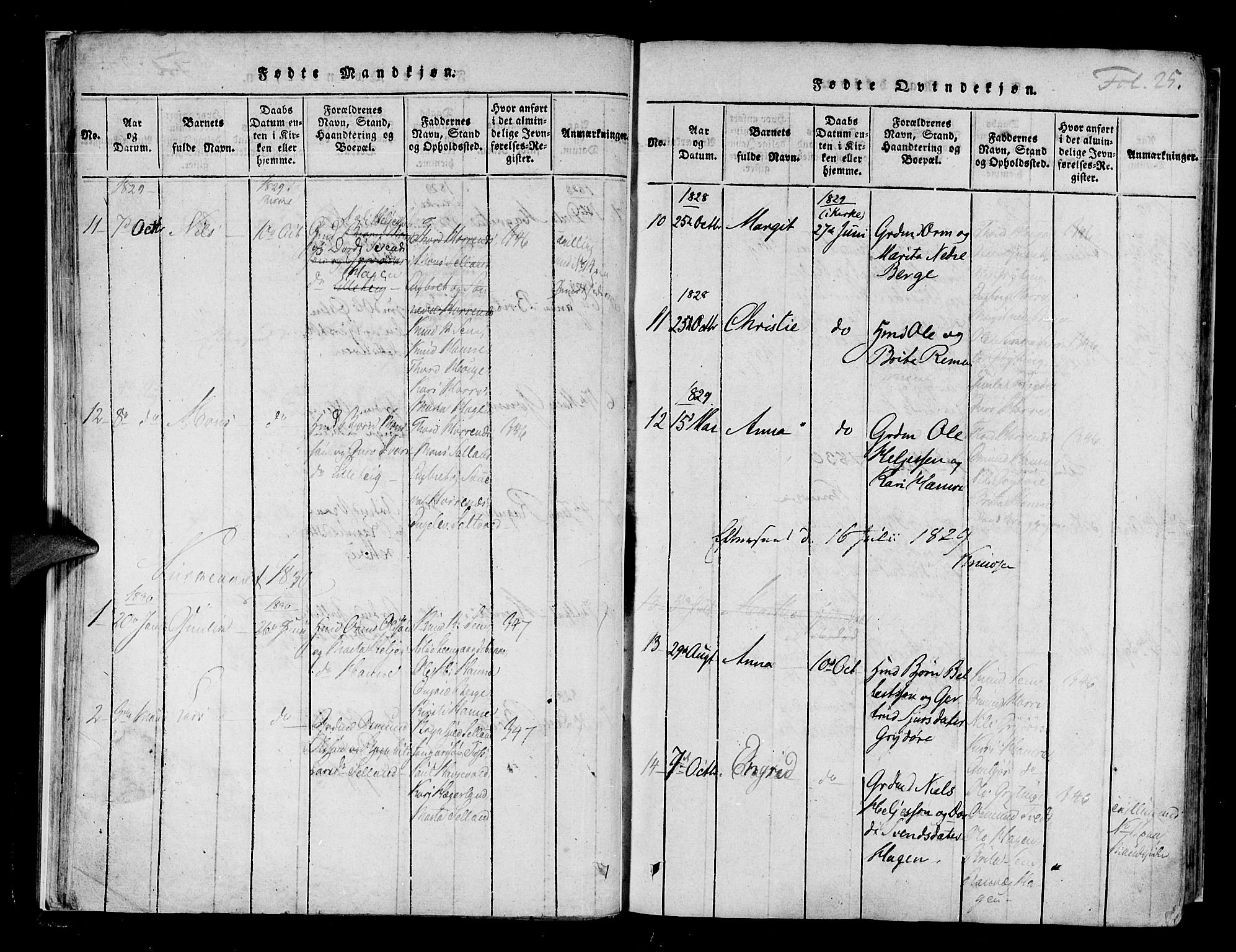 Røldal sokneprestembete, AV/SAB-A-100247: Parish register (official) no. A 2, 1817-1856, p. 25