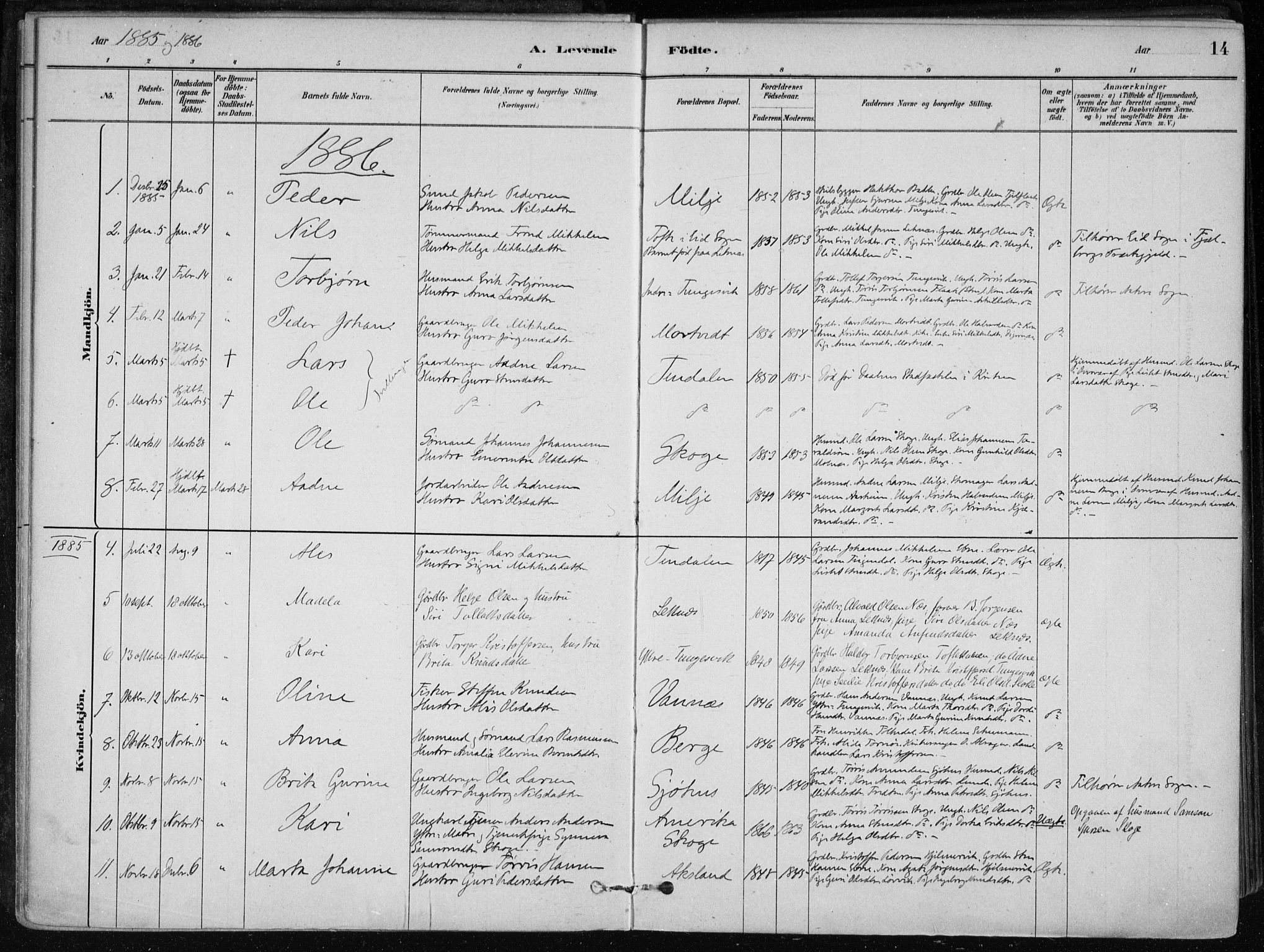 Skånevik sokneprestembete, SAB/A-77801/H/Haa: Parish register (official) no. B 1, 1879-1914, p. 14