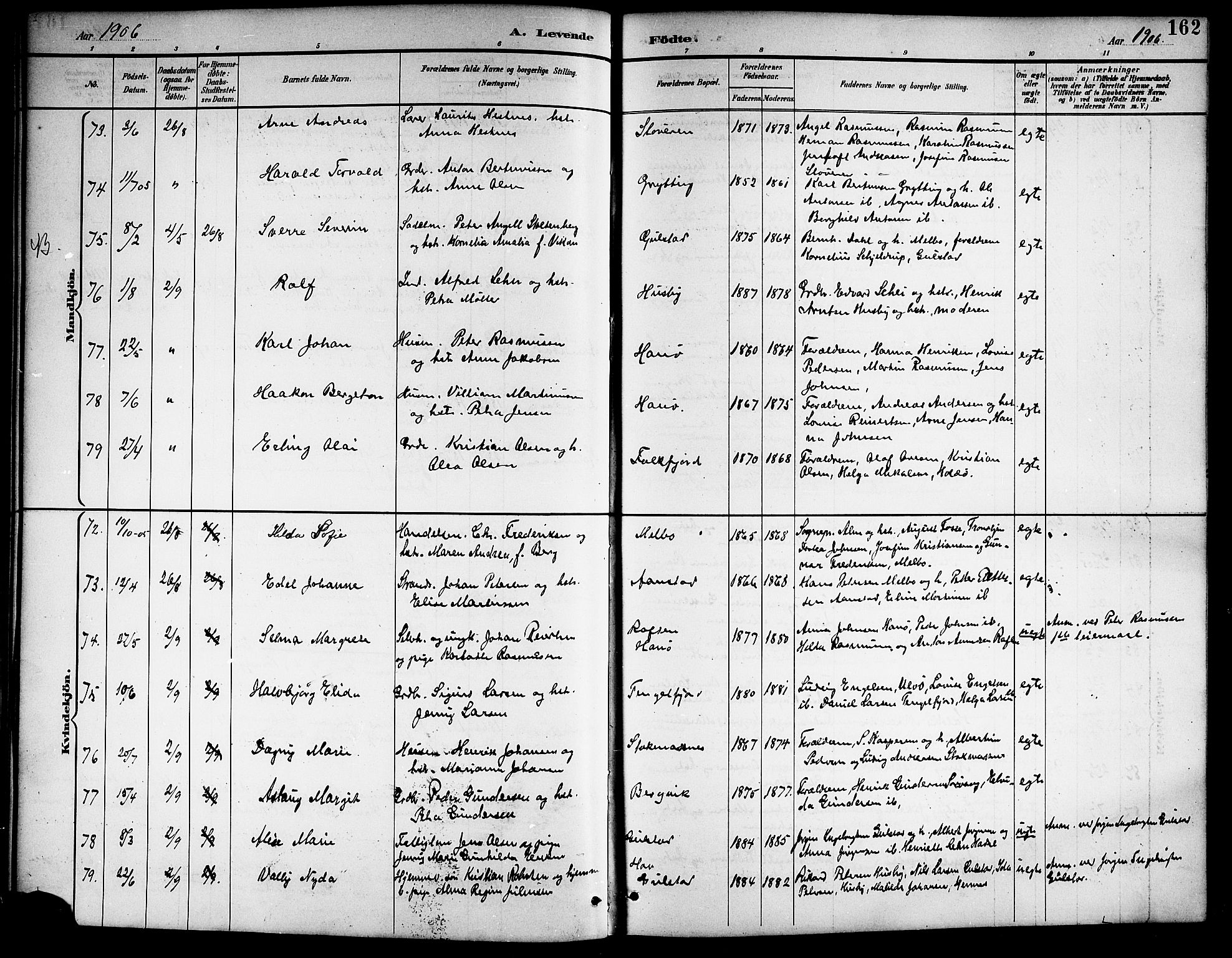 Ministerialprotokoller, klokkerbøker og fødselsregistre - Nordland, AV/SAT-A-1459/888/L1268: Parish register (copy) no. 888C06, 1891-1908, p. 162