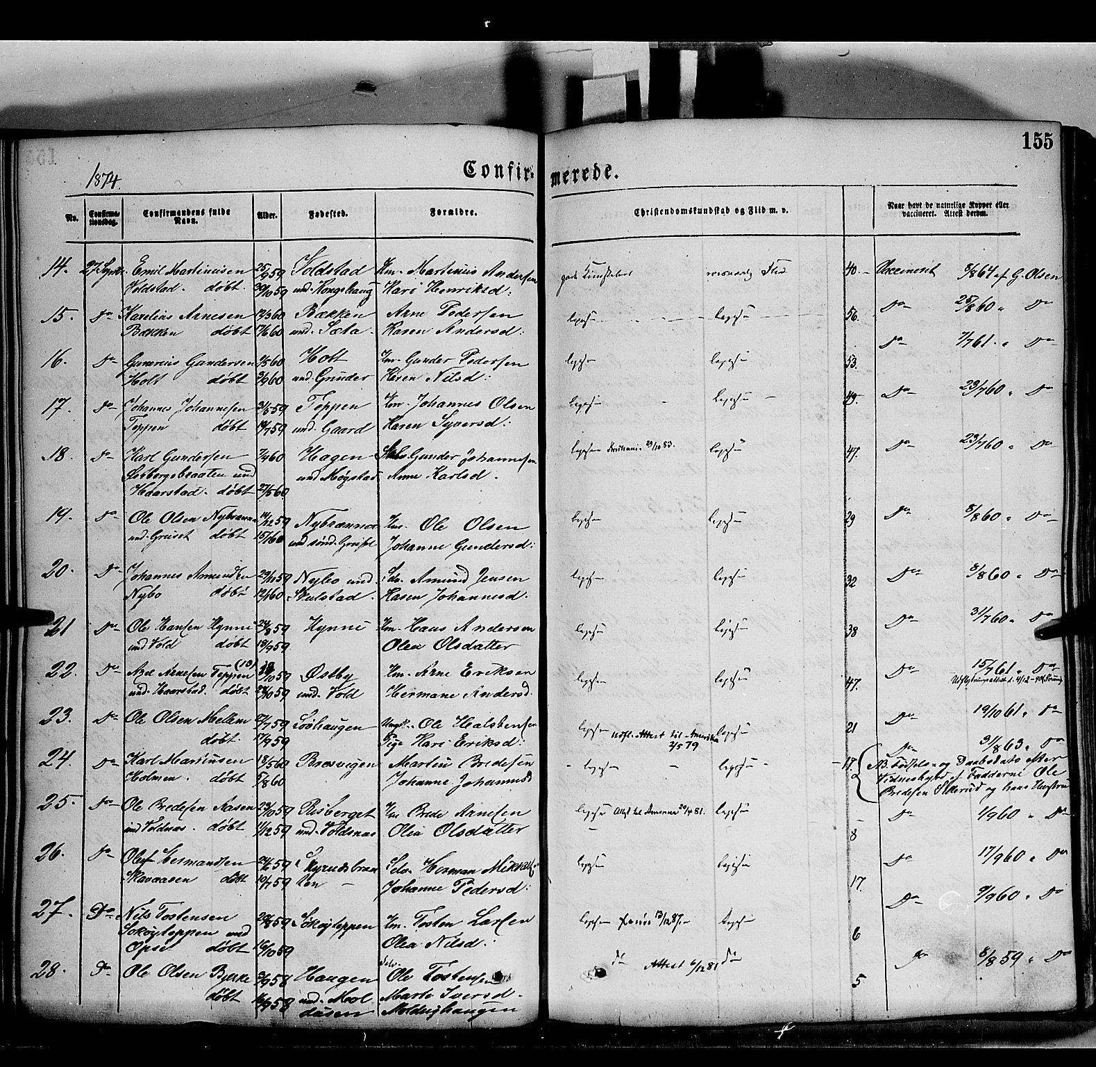 Grue prestekontor, SAH/PREST-036/H/Ha/Haa/L0011: Parish register (official) no. 11, 1873-1880, p. 155
