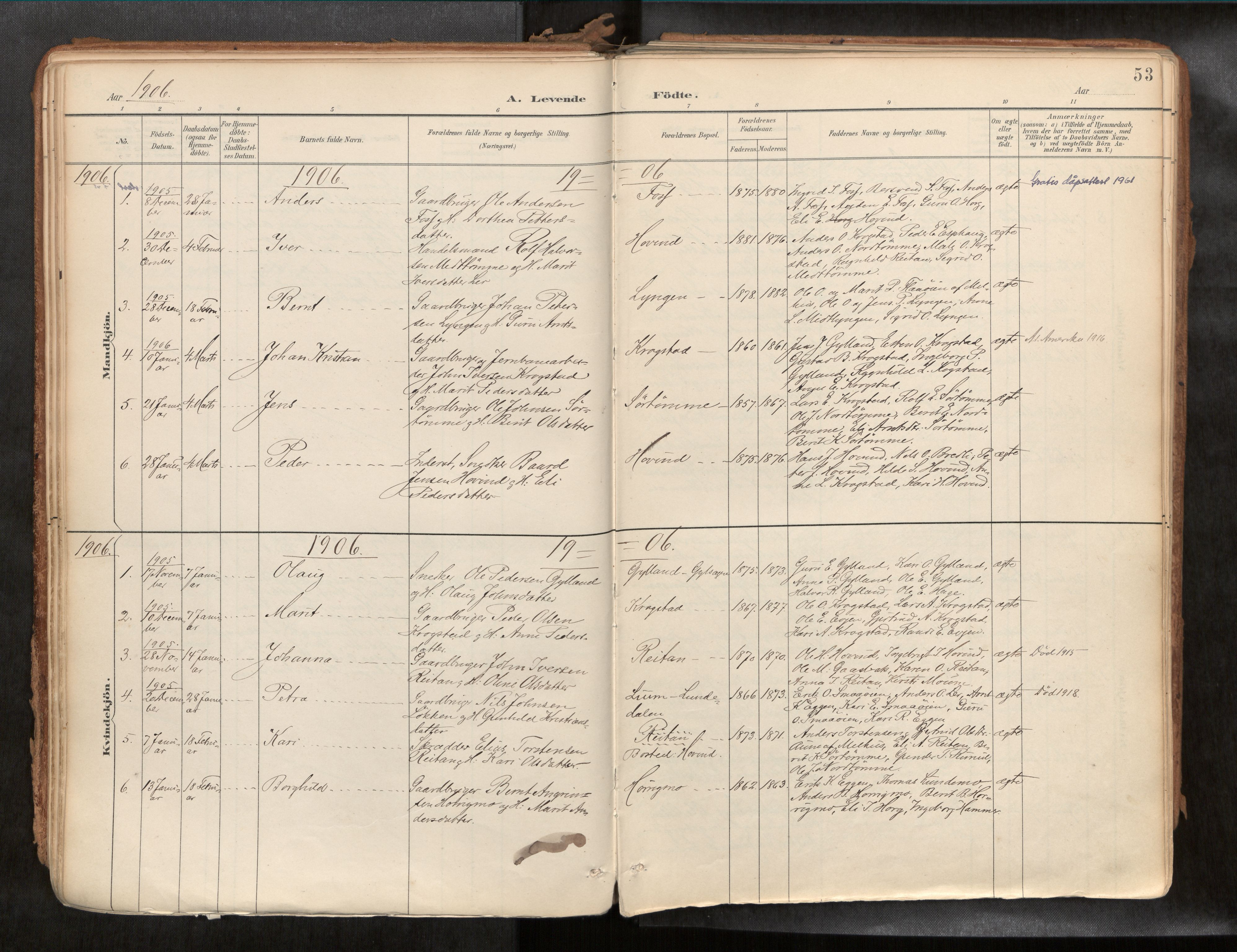 Ministerialprotokoller, klokkerbøker og fødselsregistre - Sør-Trøndelag, SAT/A-1456/692/L1105b: Parish register (official) no. 692A06, 1891-1934, p. 53