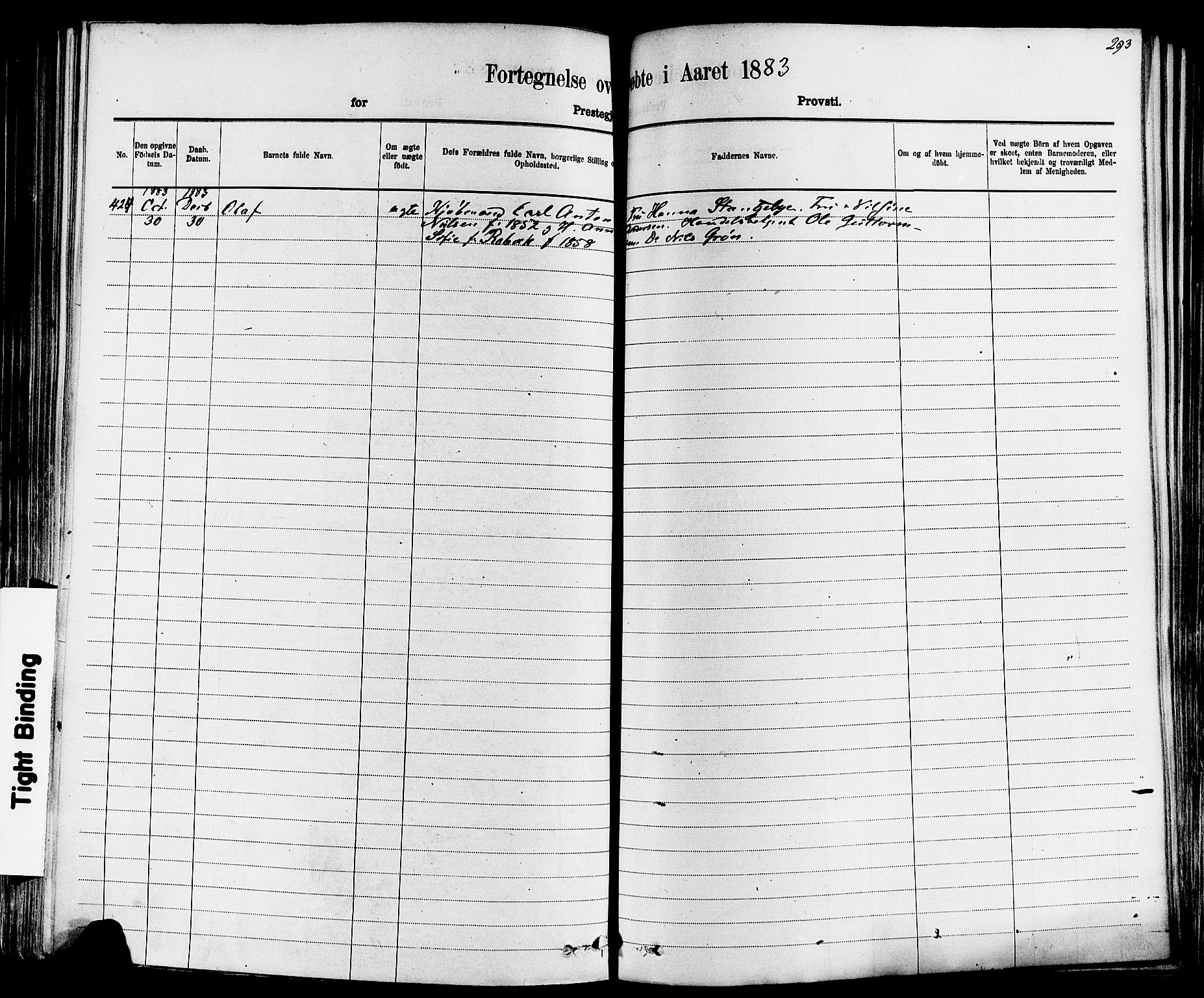 Larvik kirkebøker, AV/SAKO-A-352/F/Fa/L0006: Parish register (official) no. I 6, 1871-1883, p. 293