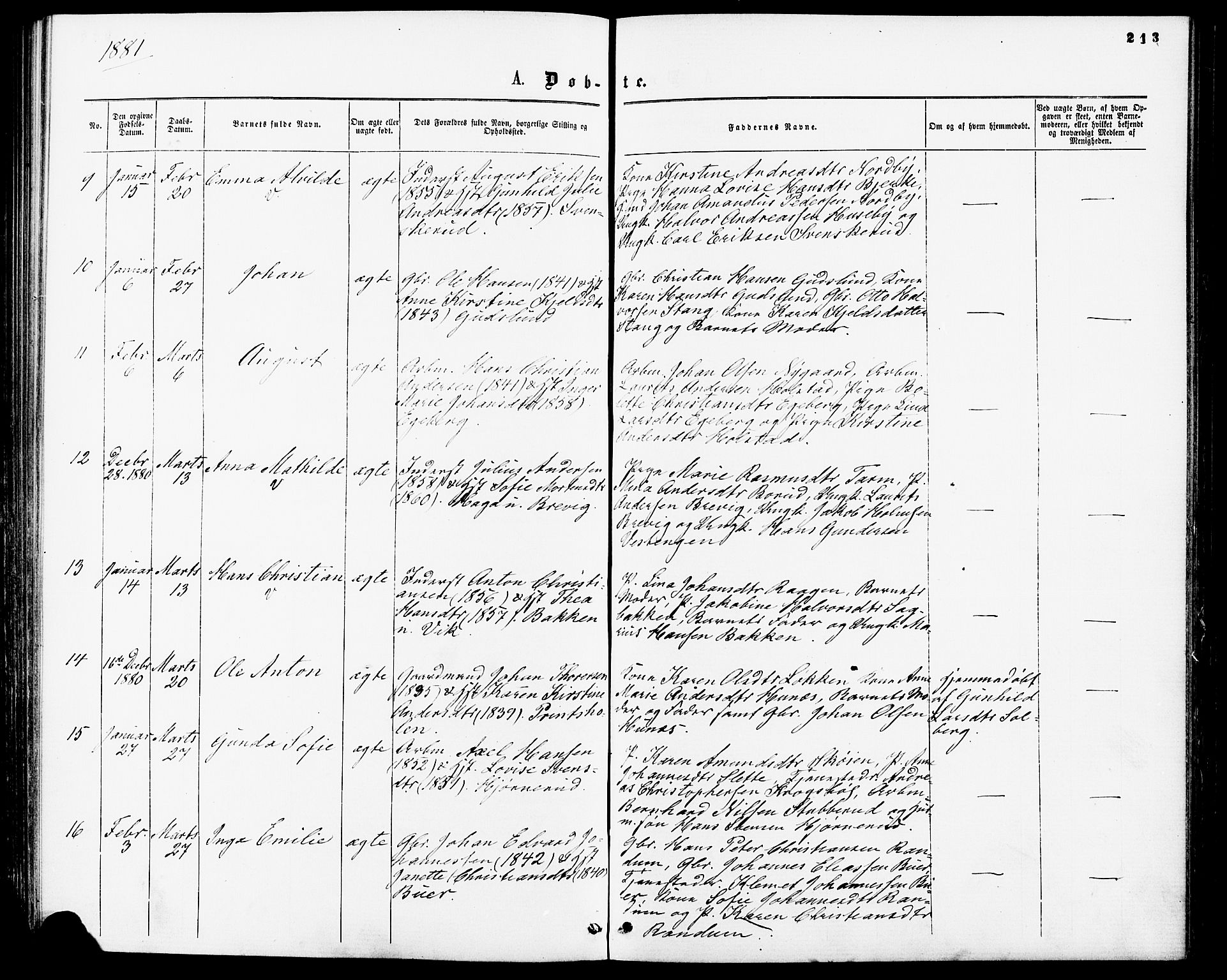 Enebakk prestekontor Kirkebøker, AV/SAO-A-10171c/F/Fa/L0011: Parish register (official) no. I 11, 1862-1882, p. 213