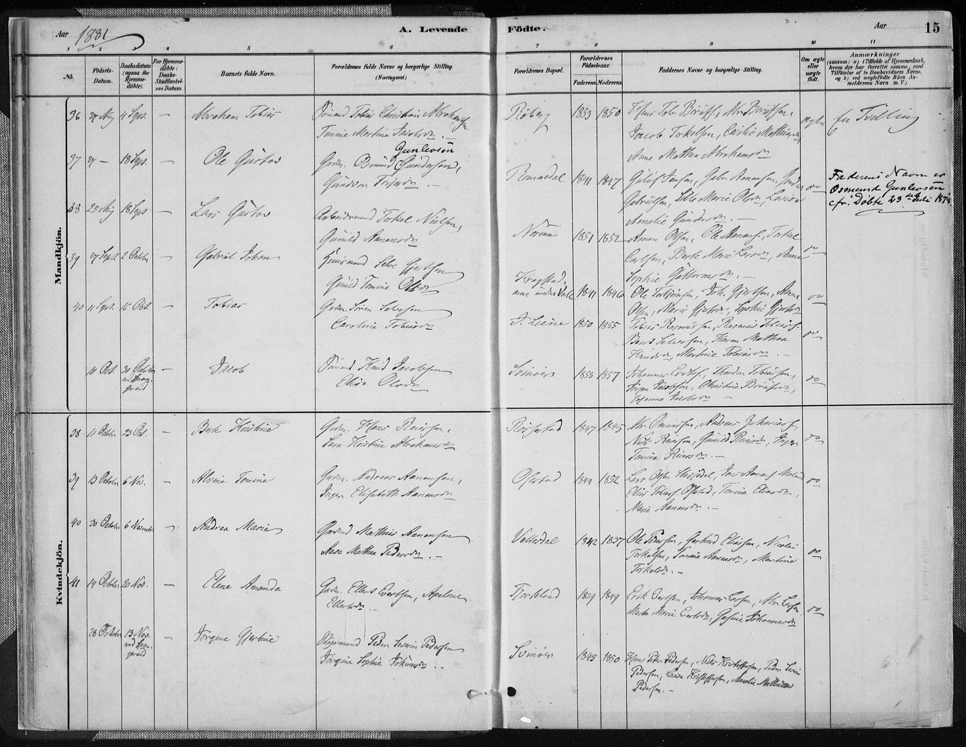 Sør-Audnedal sokneprestkontor, AV/SAK-1111-0039/F/Fa/Fab/L0009: Parish register (official) no. A 9, 1880-1895, p. 15