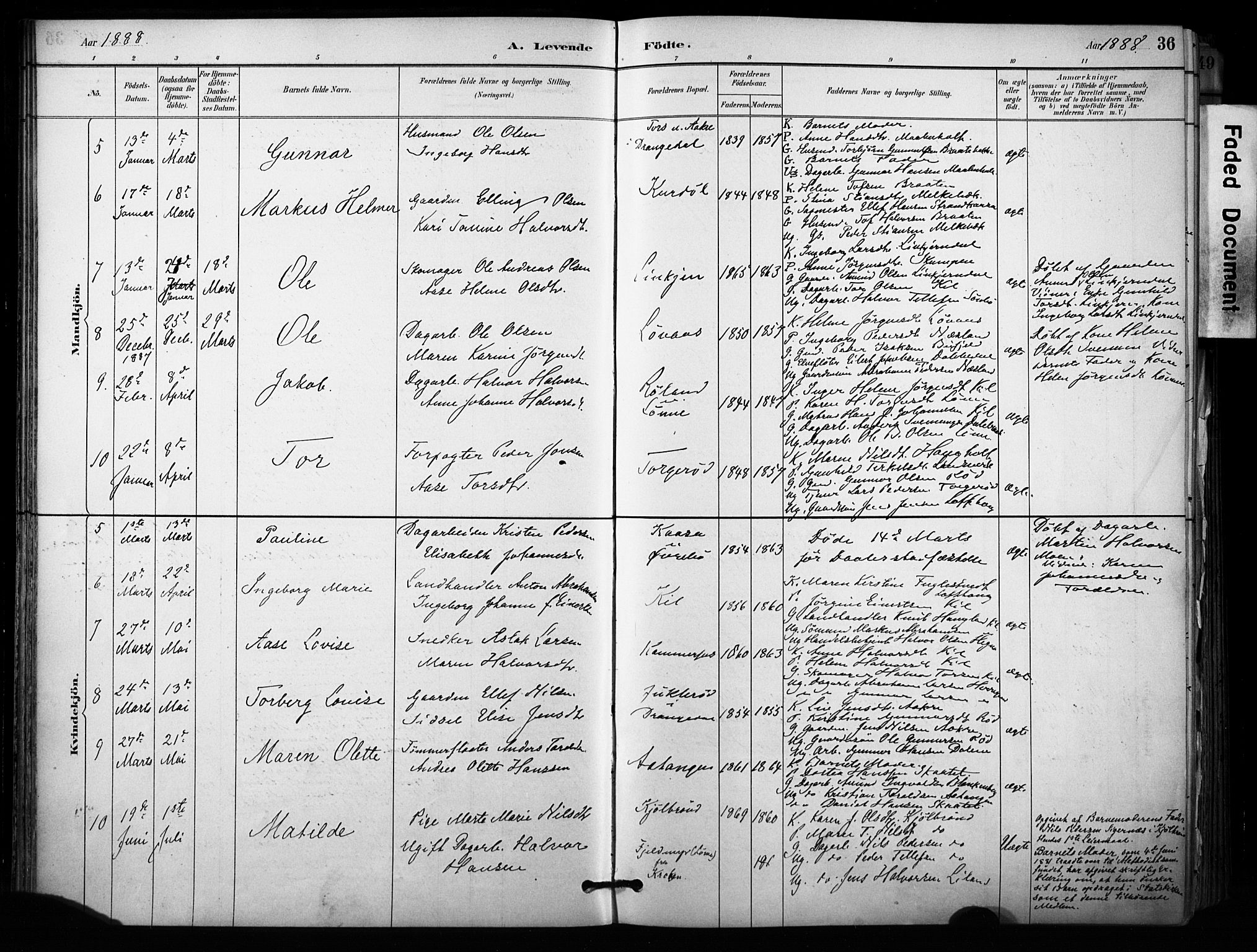 Sannidal kirkebøker, SAKO/A-296/F/Fa/L0015: Parish register (official) no. 15, 1884-1899, p. 36