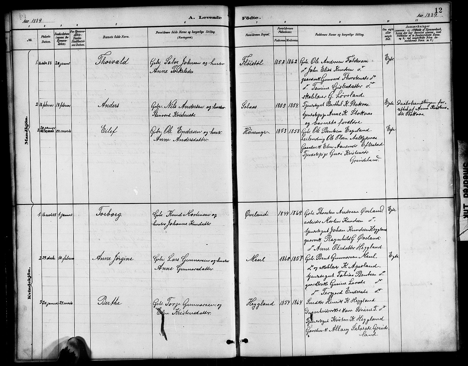 Bjelland sokneprestkontor, AV/SAK-1111-0005/F/Fb/Fbb/L0005: Parish register (copy) no. B 5, 1887-1918, p. 12