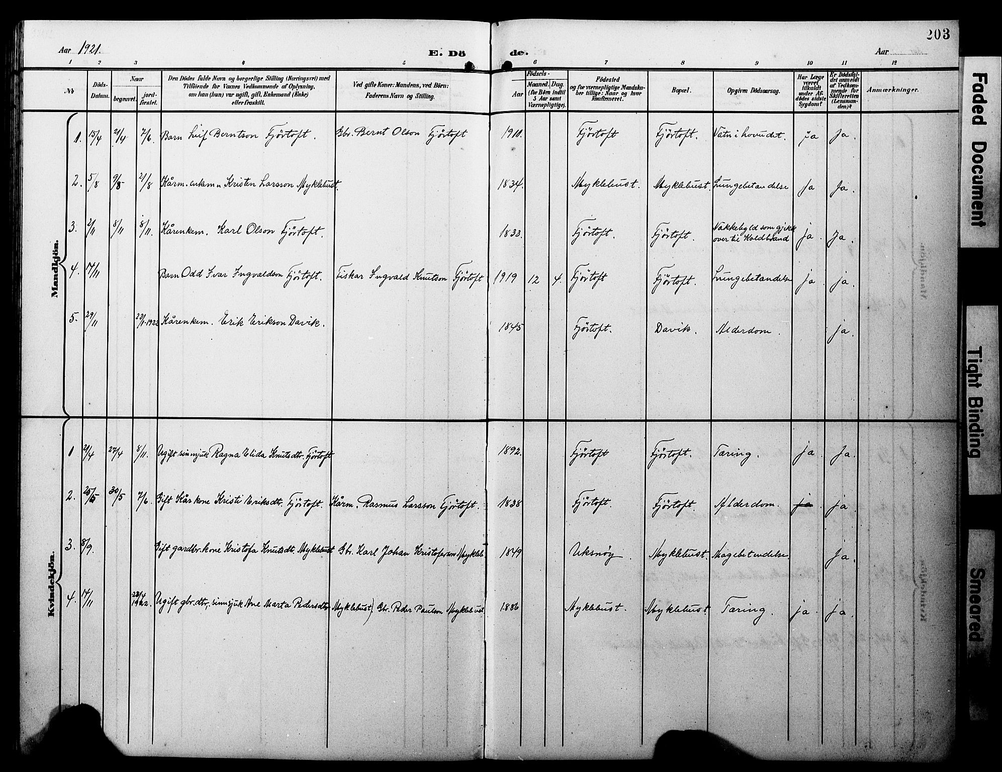 Ministerialprotokoller, klokkerbøker og fødselsregistre - Møre og Romsdal, AV/SAT-A-1454/538/L0524: Parish register (copy) no. 538C02, 1901-1931, p. 203