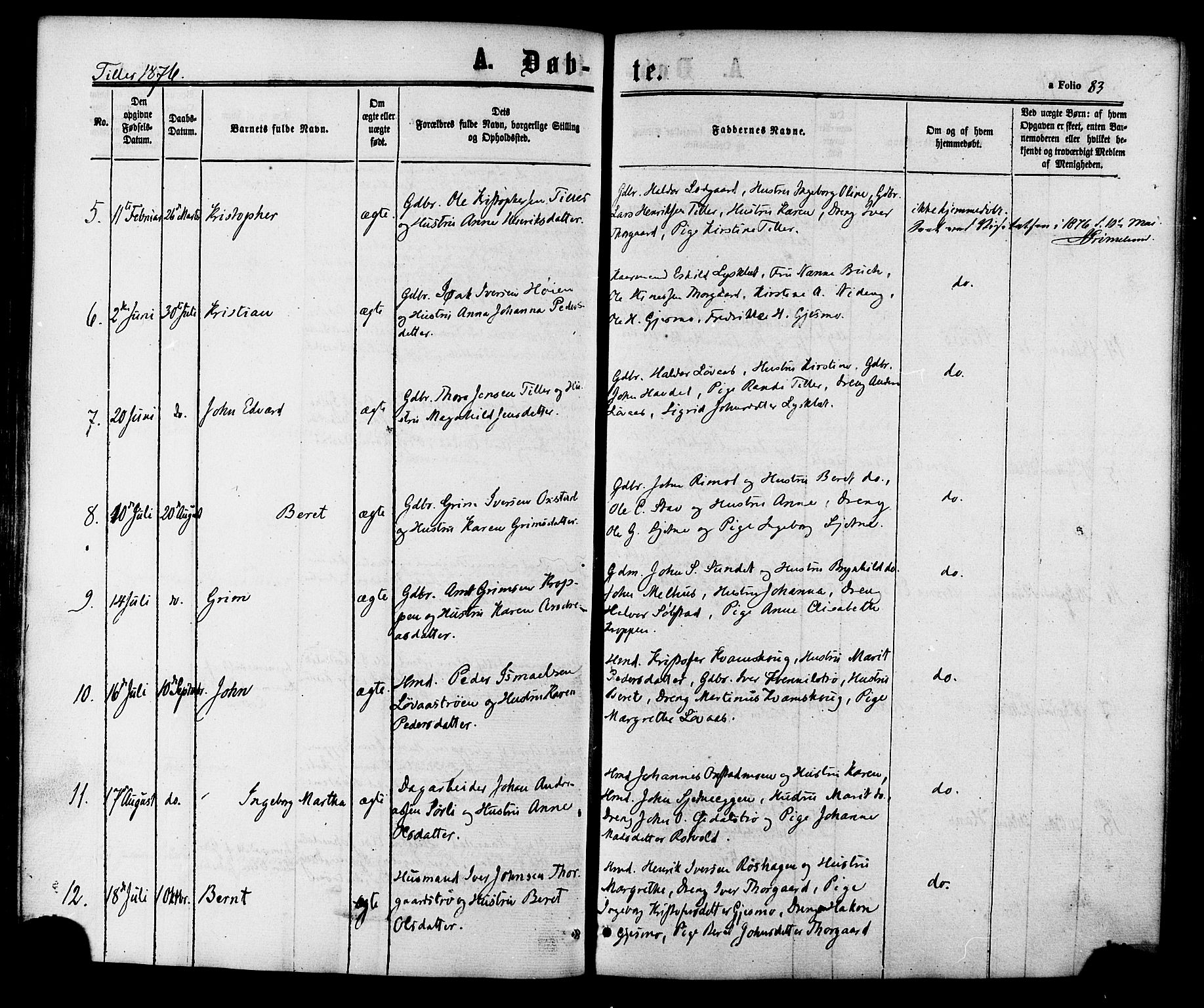 Ministerialprotokoller, klokkerbøker og fødselsregistre - Sør-Trøndelag, AV/SAT-A-1456/618/L0443: Parish register (official) no. 618A06 /2, 1863-1879, p. 83