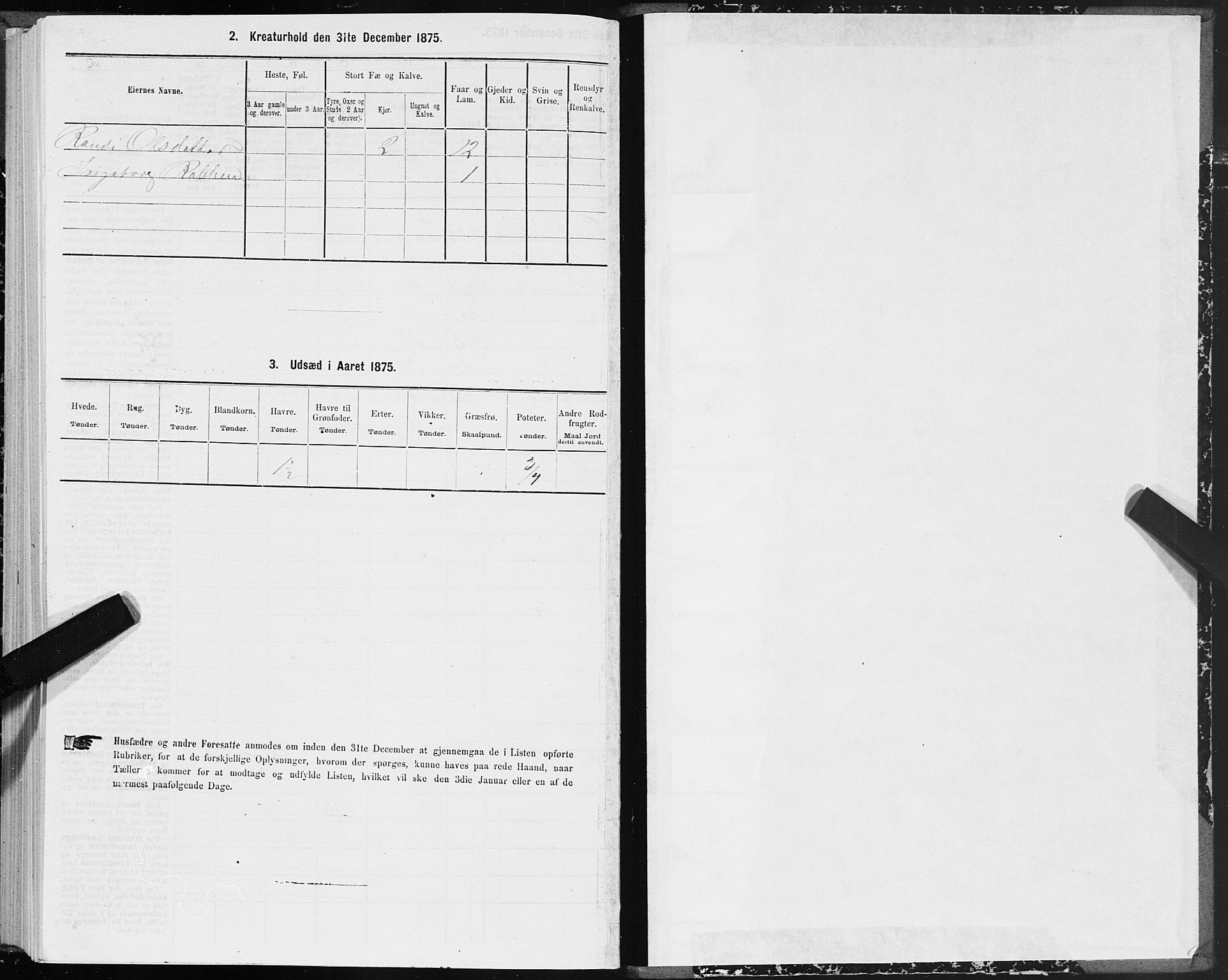 SAT, 1875 census for 1612P Hemne, 1875