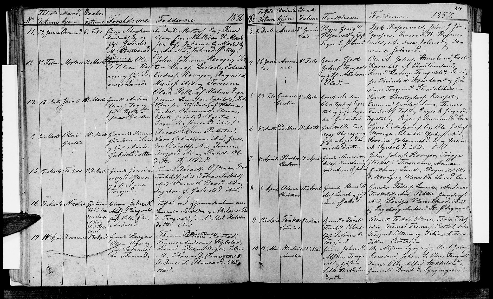 Søgne sokneprestkontor, AV/SAK-1111-0037/F/Fb/Fbb/L0003: Parish register (copy) no. B 3, 1848-1864, p. 43