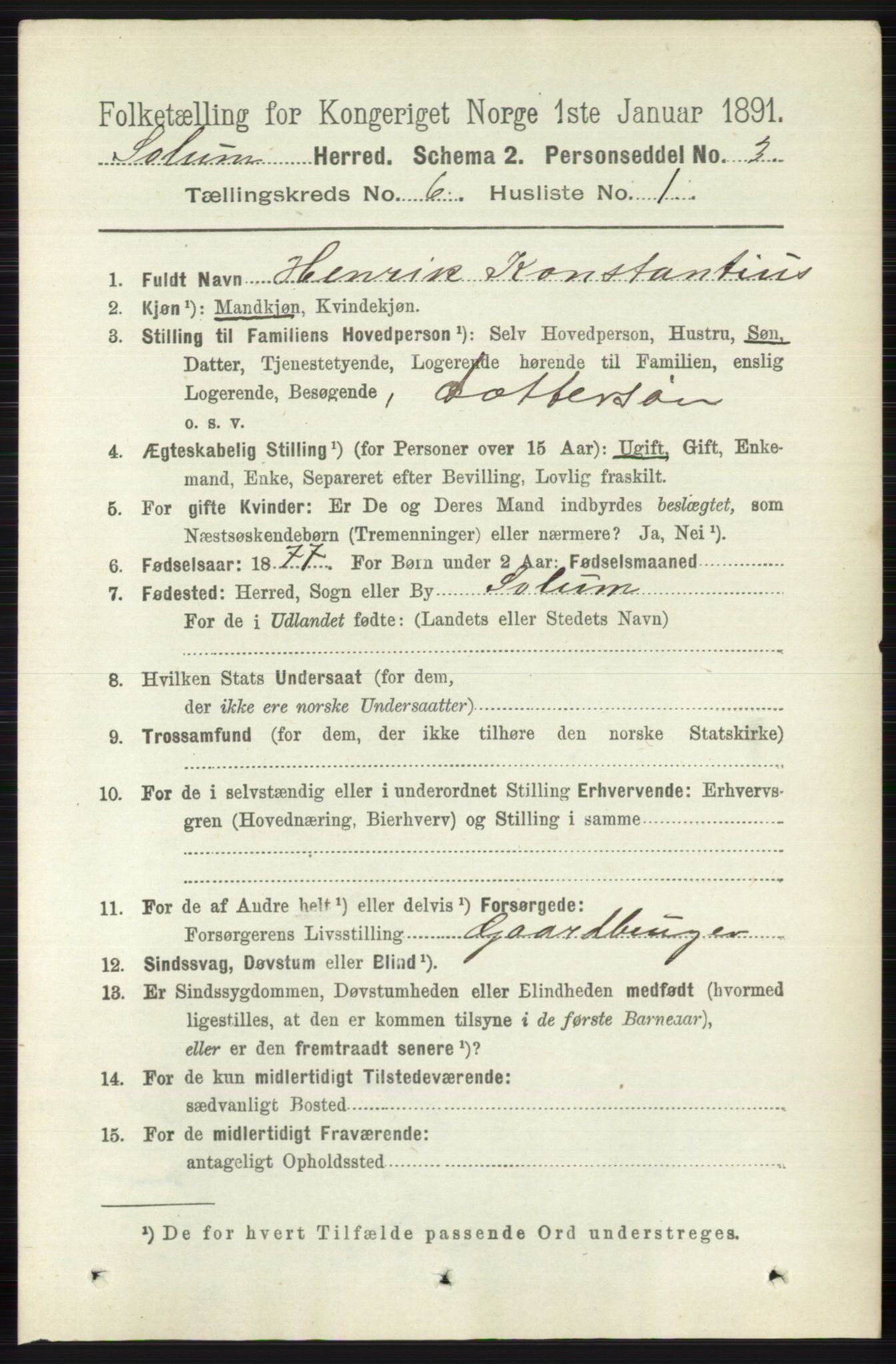 RA, 1891 census for 0818 Solum, 1891, p. 1189