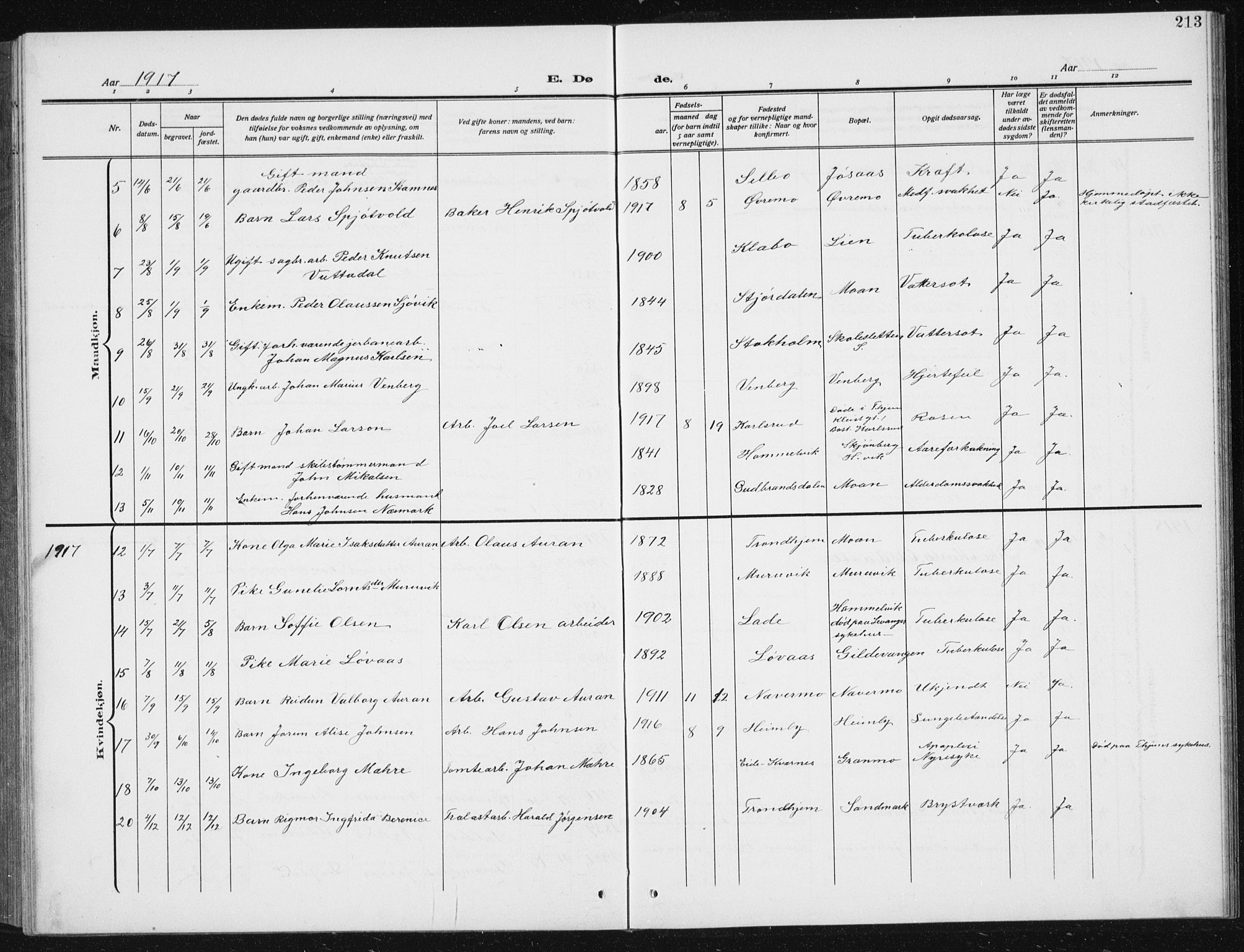 Ministerialprotokoller, klokkerbøker og fødselsregistre - Sør-Trøndelag, AV/SAT-A-1456/617/L0431: Parish register (copy) no. 617C02, 1910-1936, p. 213