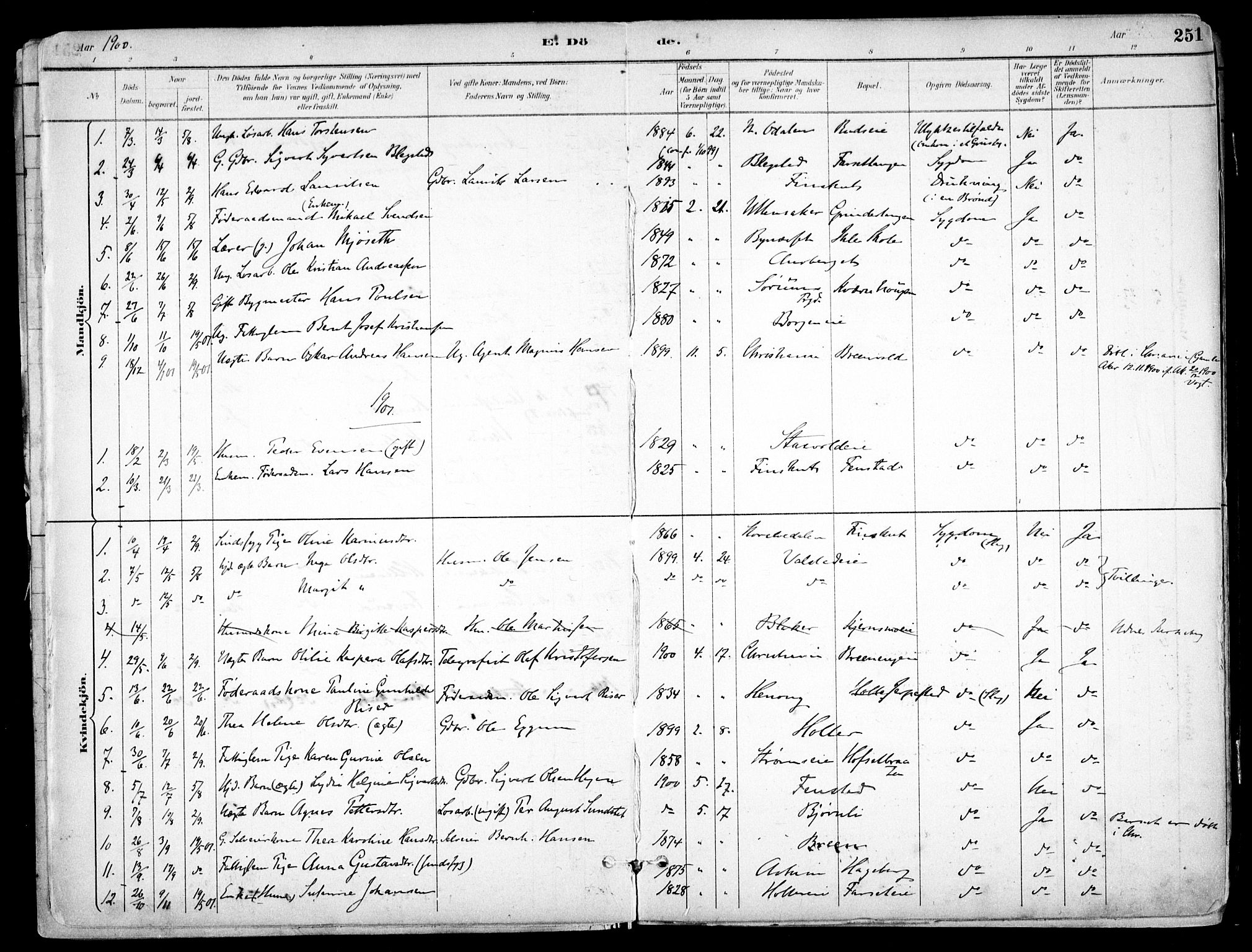 Nes prestekontor Kirkebøker, AV/SAO-A-10410/F/Fb/L0002: Parish register (official) no. II 2, 1883-1918, p. 251