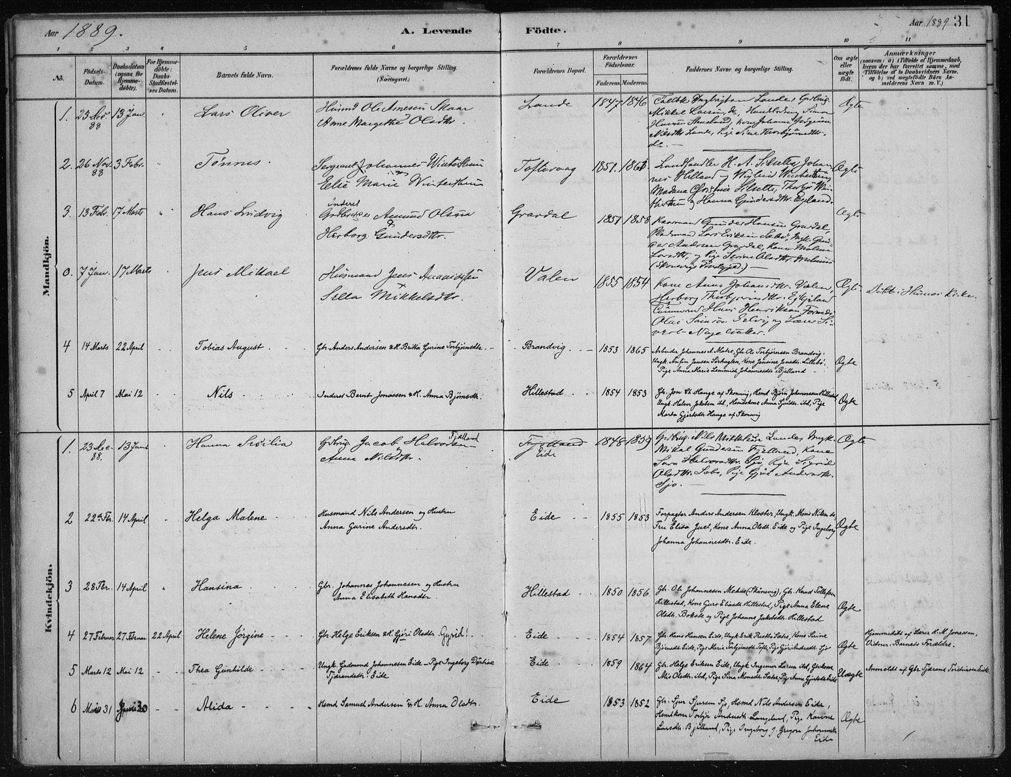 Fjelberg sokneprestembete, SAB/A-75201/H/Haa: Parish register (official) no. C  1, 1879-1918, p. 31