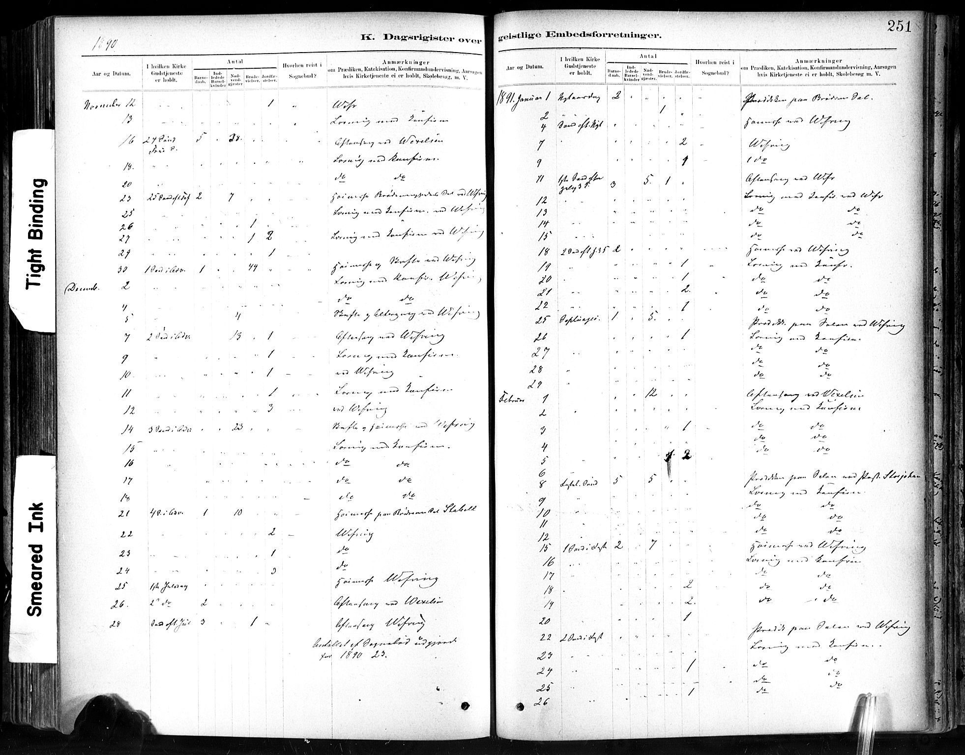 Ministerialprotokoller, klokkerbøker og fødselsregistre - Sør-Trøndelag, SAT/A-1456/602/L0120: Parish register (official) no. 602A18, 1880-1913, p. 251