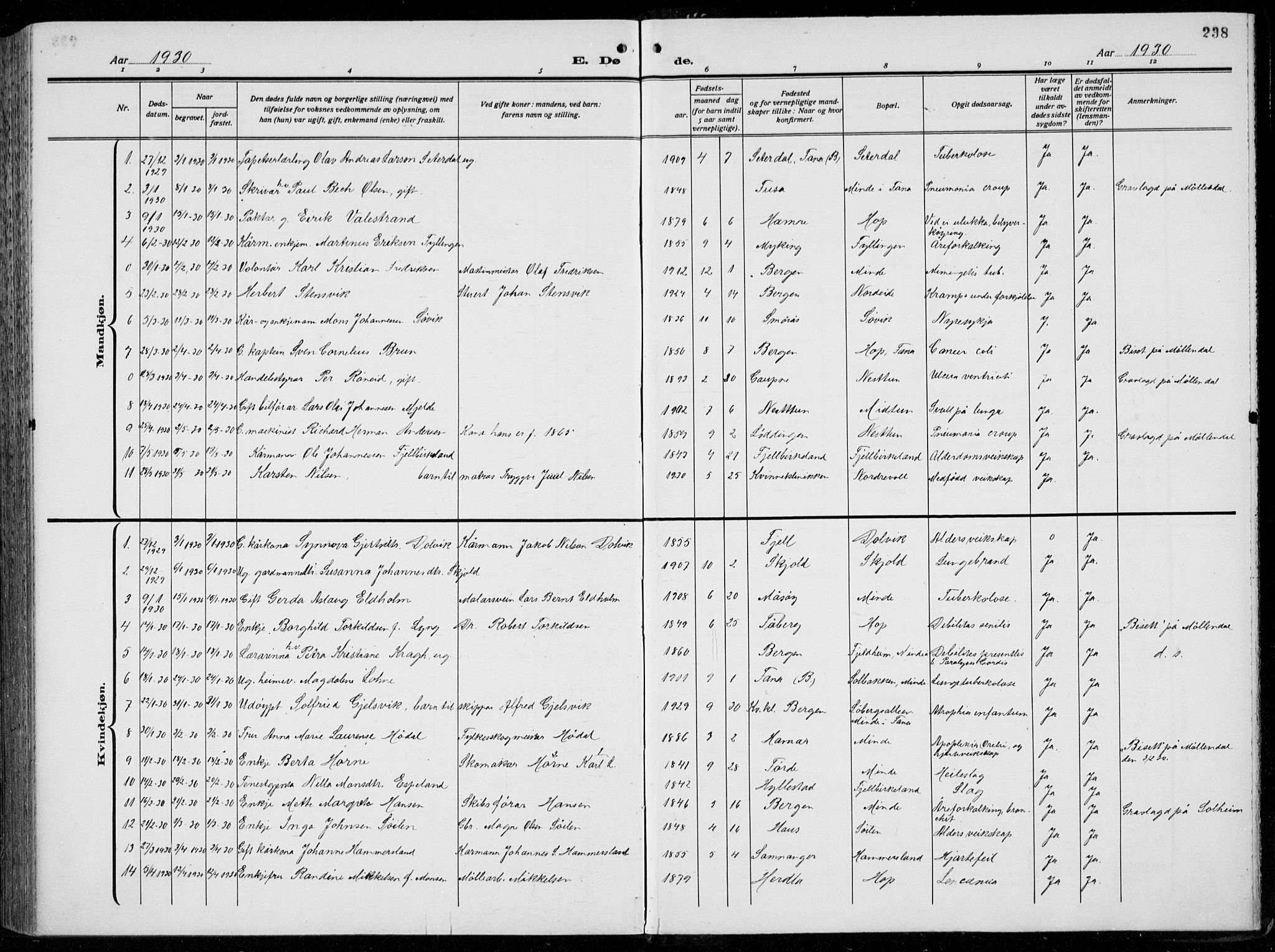 Birkeland Sokneprestembete, AV/SAB-A-74601/H/Hab: Parish register (copy) no. A  8, 1923-1933, p. 238