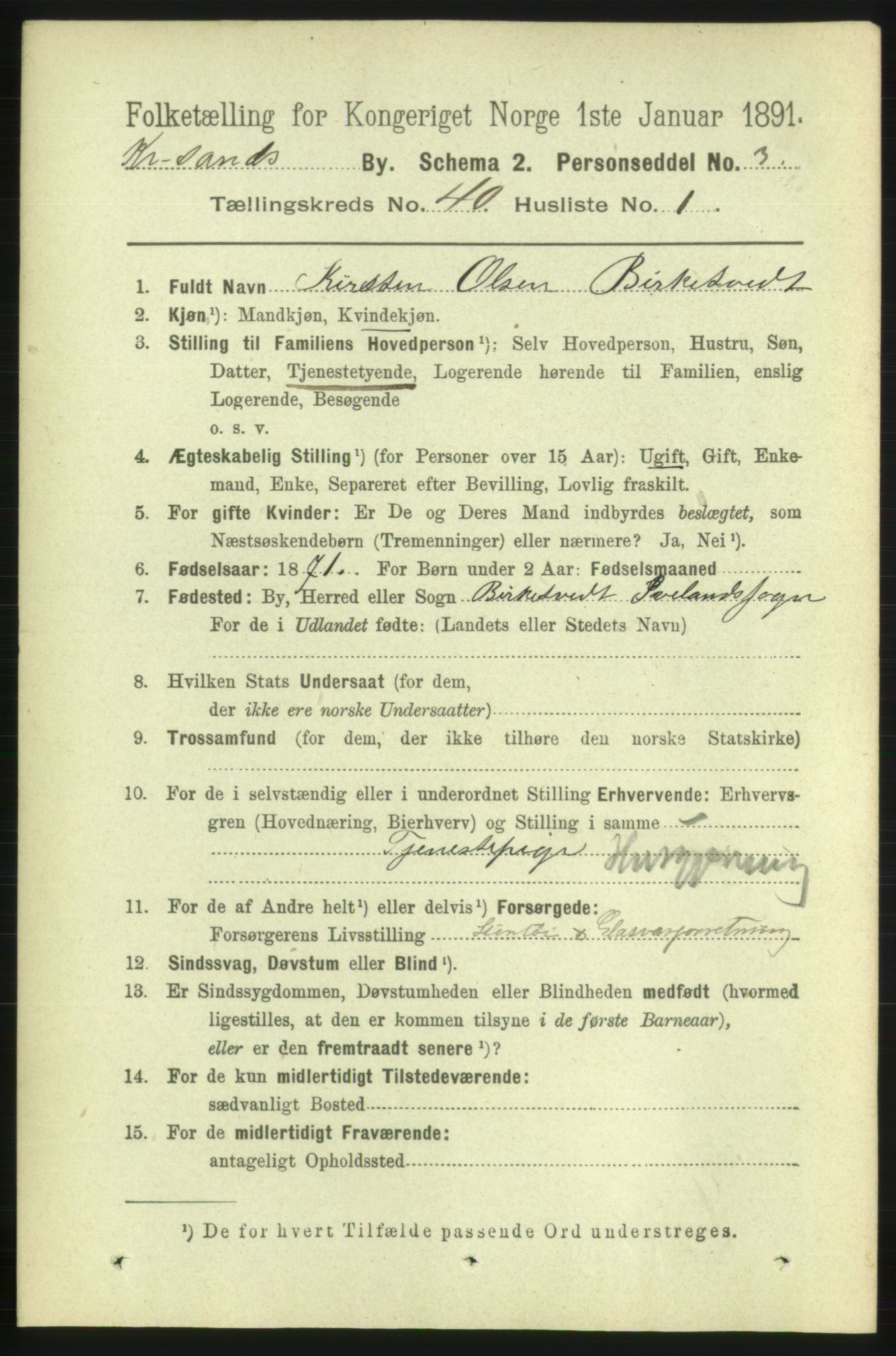 RA, 1891 census for 1001 Kristiansand, 1891, p. 12399