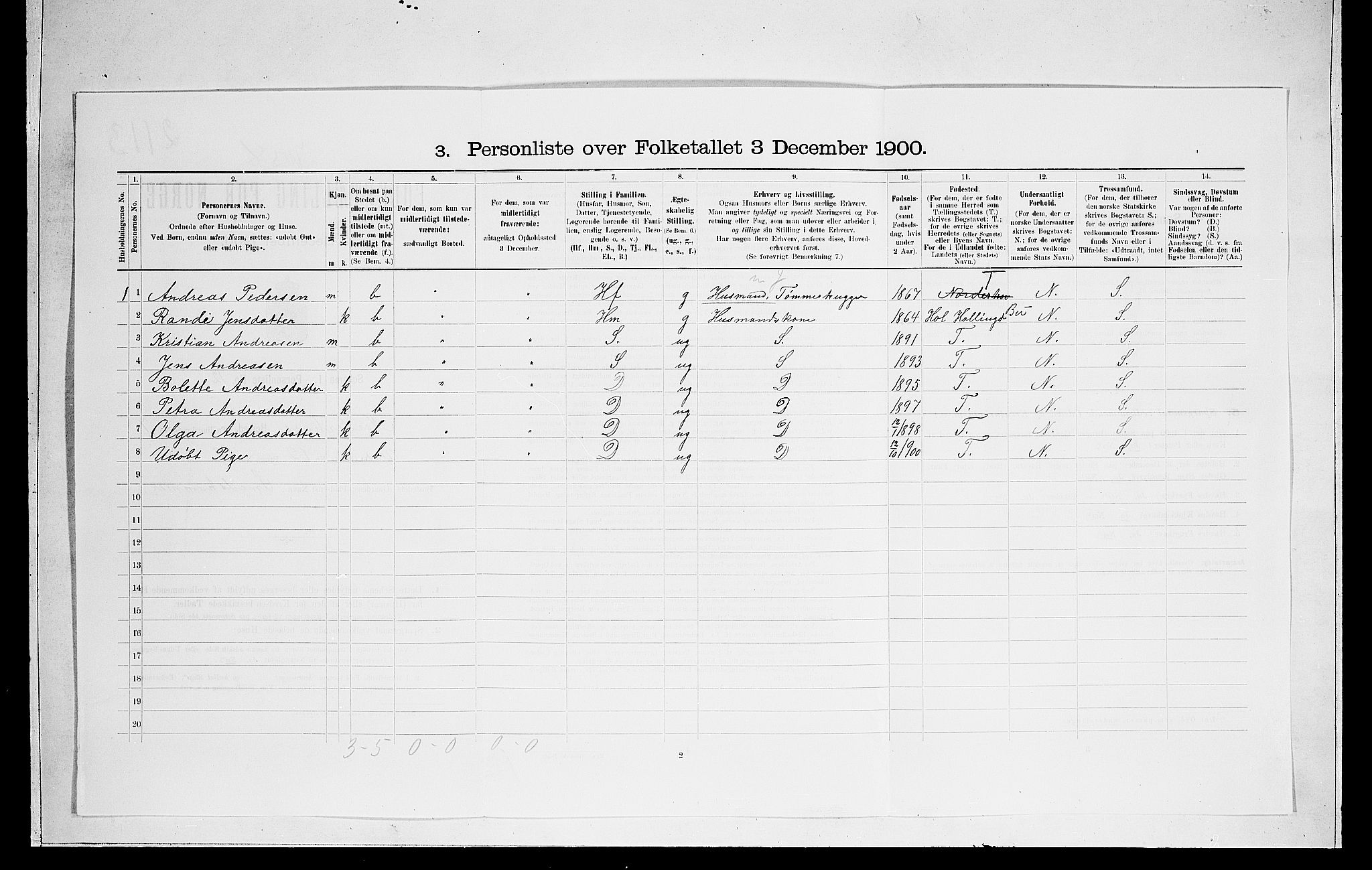 RA, 1900 census for Norderhov, 1900, p. 119