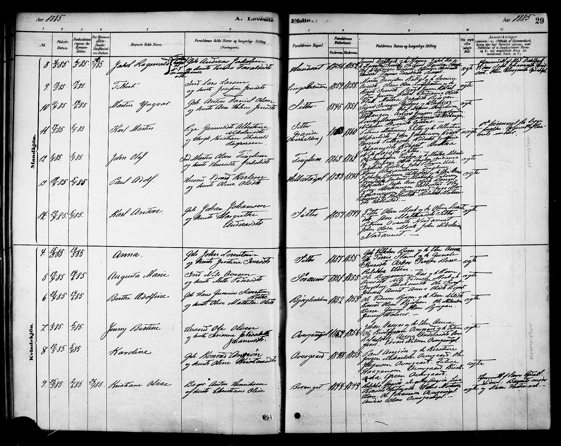 Ministerialprotokoller, klokkerbøker og fødselsregistre - Nord-Trøndelag, AV/SAT-A-1458/742/L0408: Parish register (official) no. 742A01, 1878-1890, p. 29