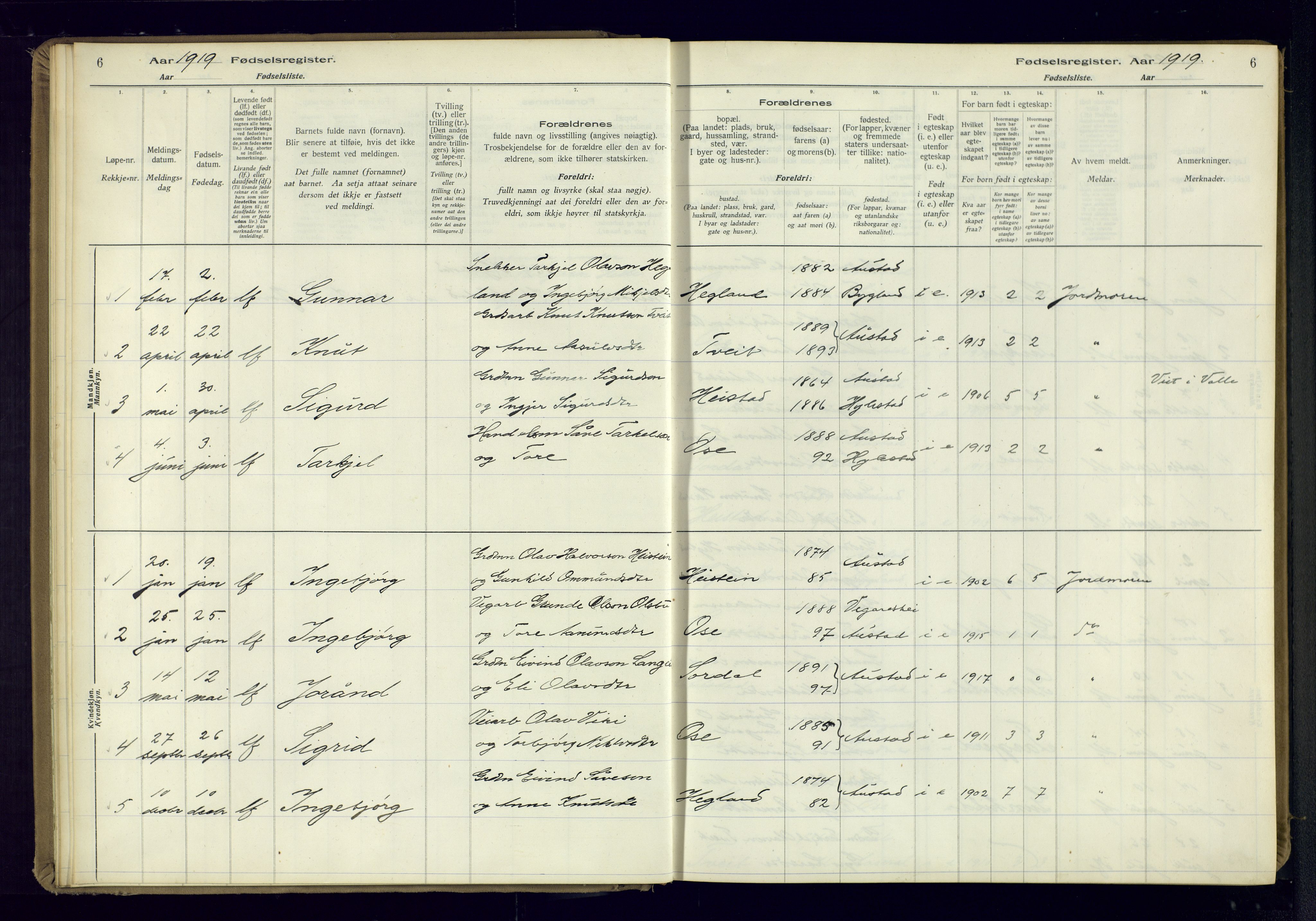 Bygland sokneprestkontor, SAK/1111-0006/J/Ja/L0002: Birth register no. II.4.3, 1916-1982, p. 6