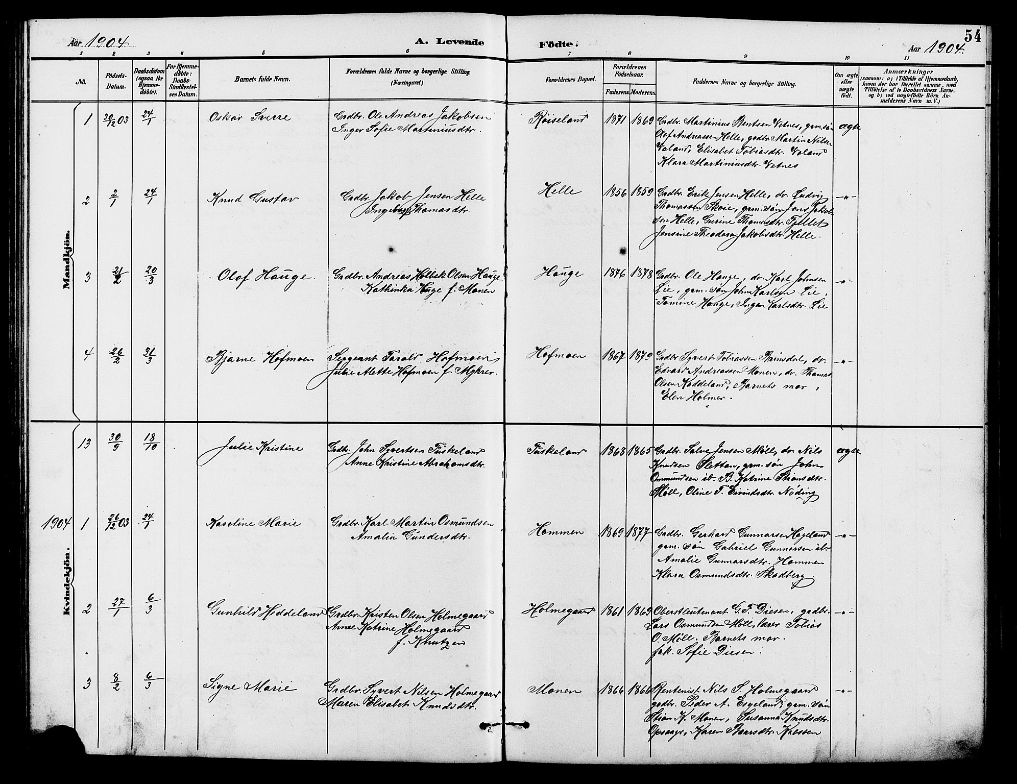 Holum sokneprestkontor, AV/SAK-1111-0022/F/Fb/Fba/L0005: Parish register (copy) no. B 5, 1891-1909, p. 54