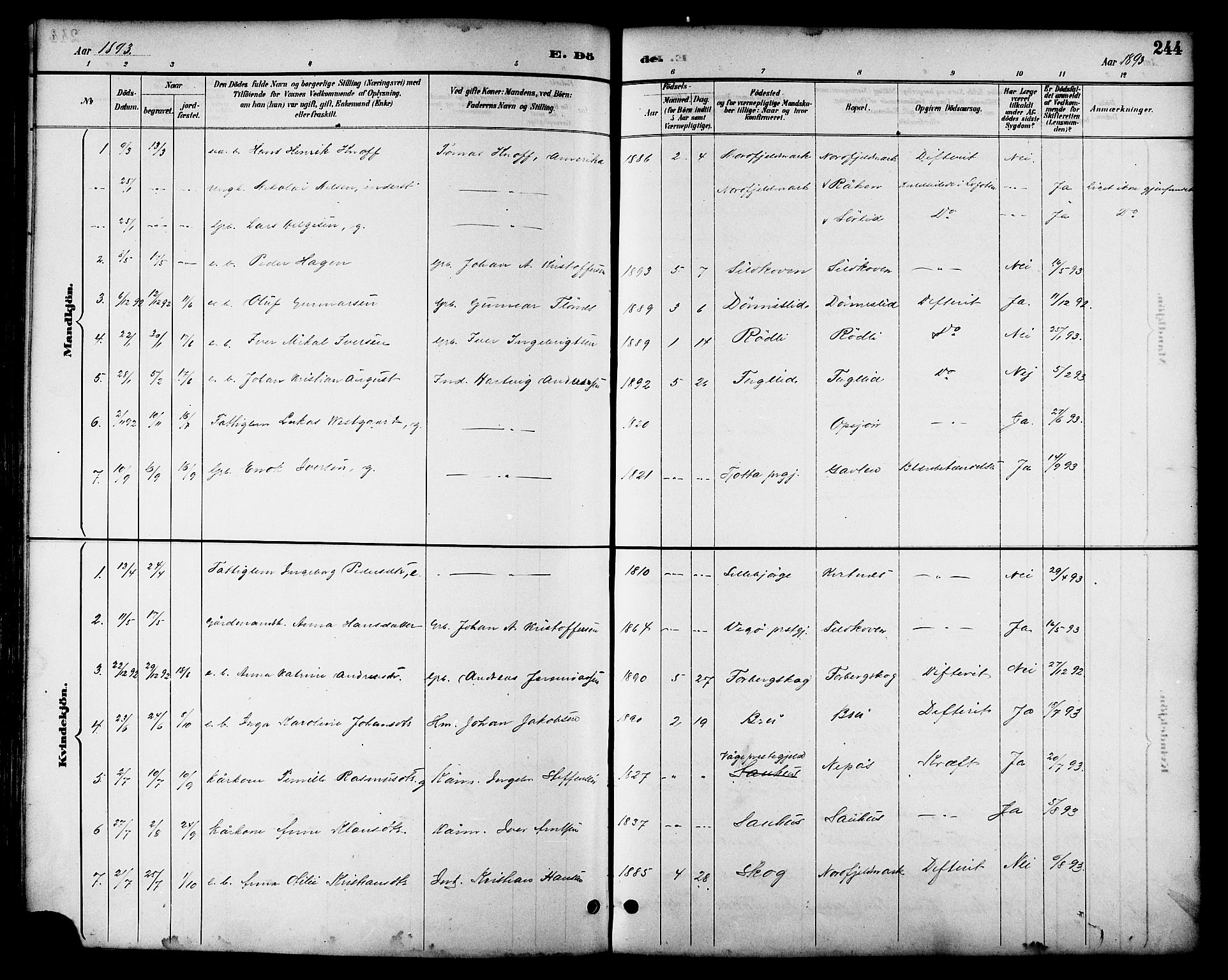 Ministerialprotokoller, klokkerbøker og fødselsregistre - Nordland, AV/SAT-A-1459/814/L0230: Parish register (copy) no. 814C03, 1884-1911, p. 244