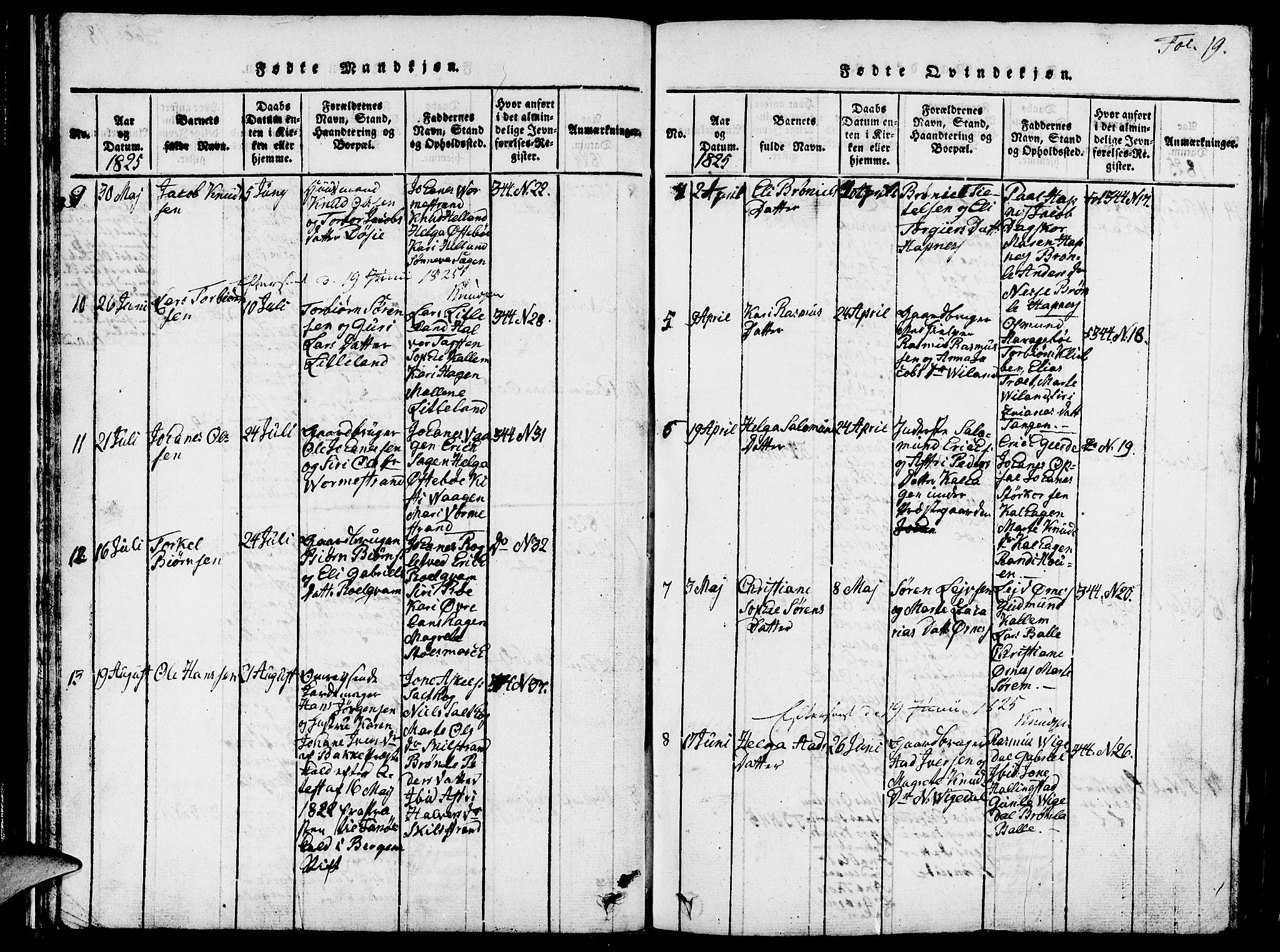 Vikedal sokneprestkontor, AV/SAST-A-101840/01/V: Parish register (copy) no. B 1, 1816-1853, p. 19