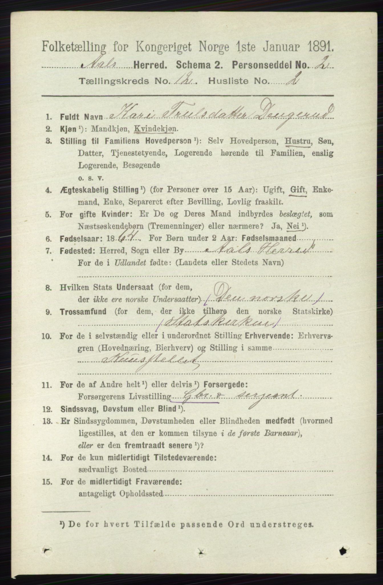 RA, 1891 census for 0619 Ål, 1891, p. 3015