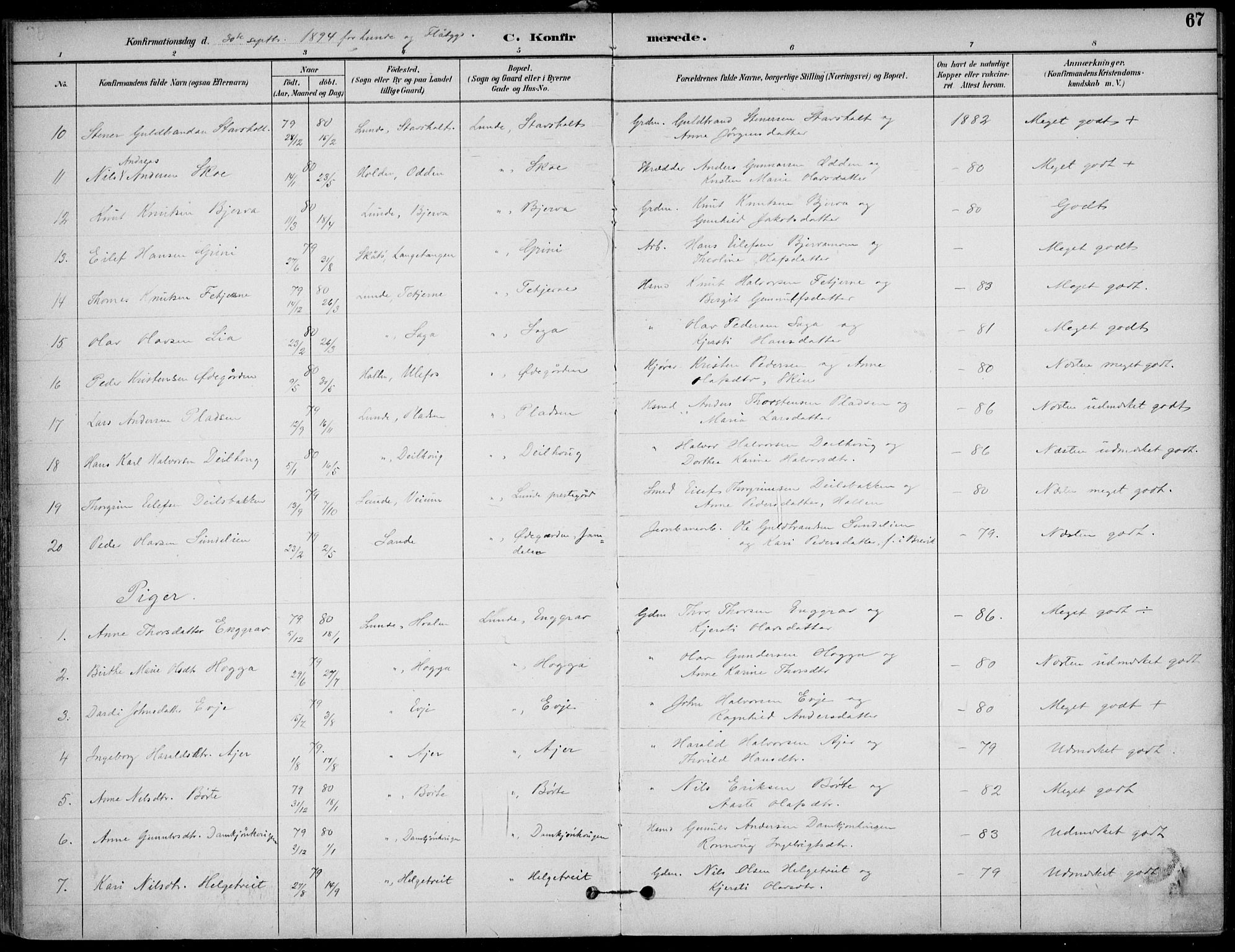 Lunde kirkebøker, AV/SAKO-A-282/F/Fa/L0003: Parish register (official) no. I 3, 1893-1902, p. 67