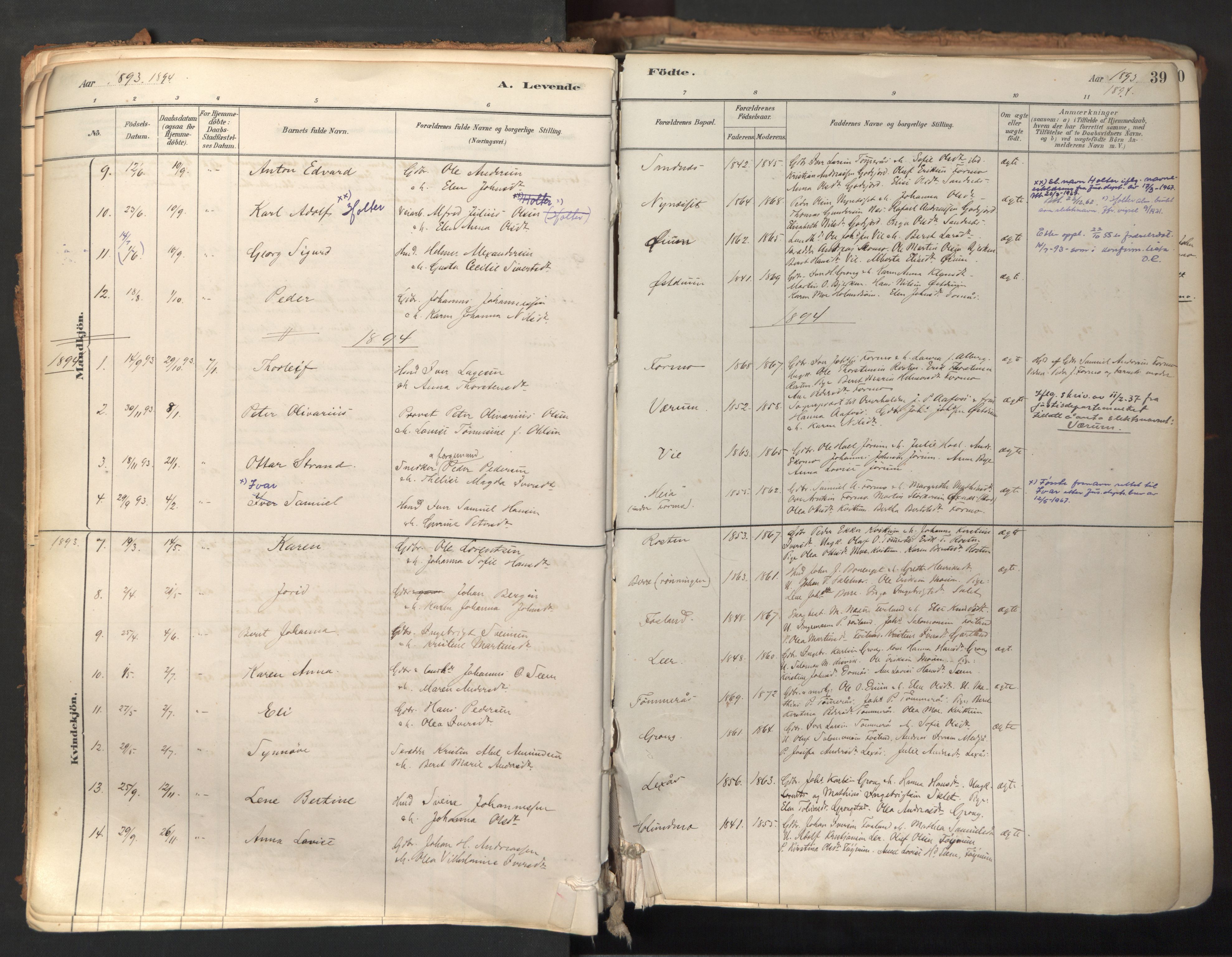 Ministerialprotokoller, klokkerbøker og fødselsregistre - Nord-Trøndelag, SAT/A-1458/758/L0519: Parish register (official) no. 758A04, 1880-1926, p. 39