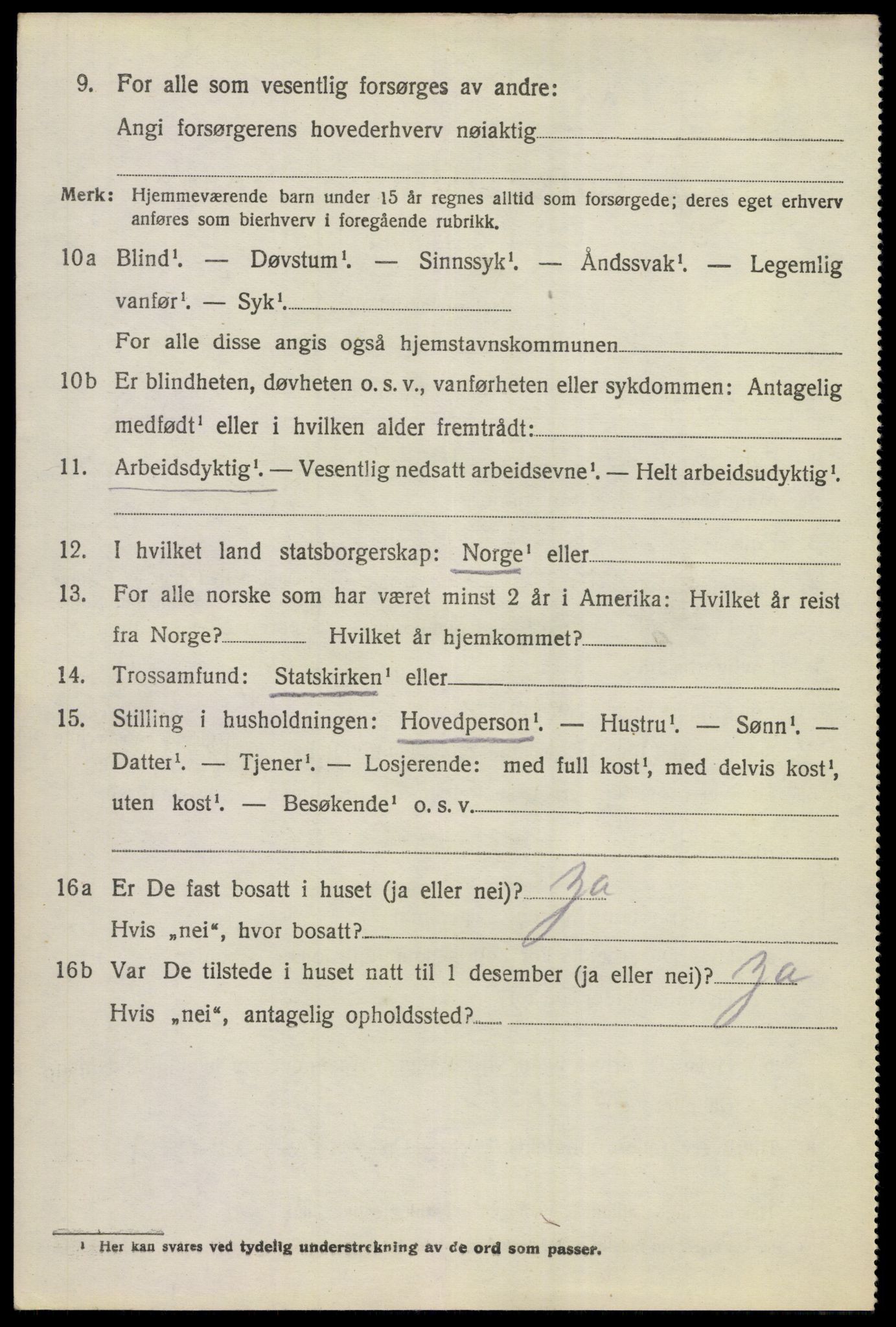 SAKO, 1920 census for Hol (Buskerud), 1920, p. 2922