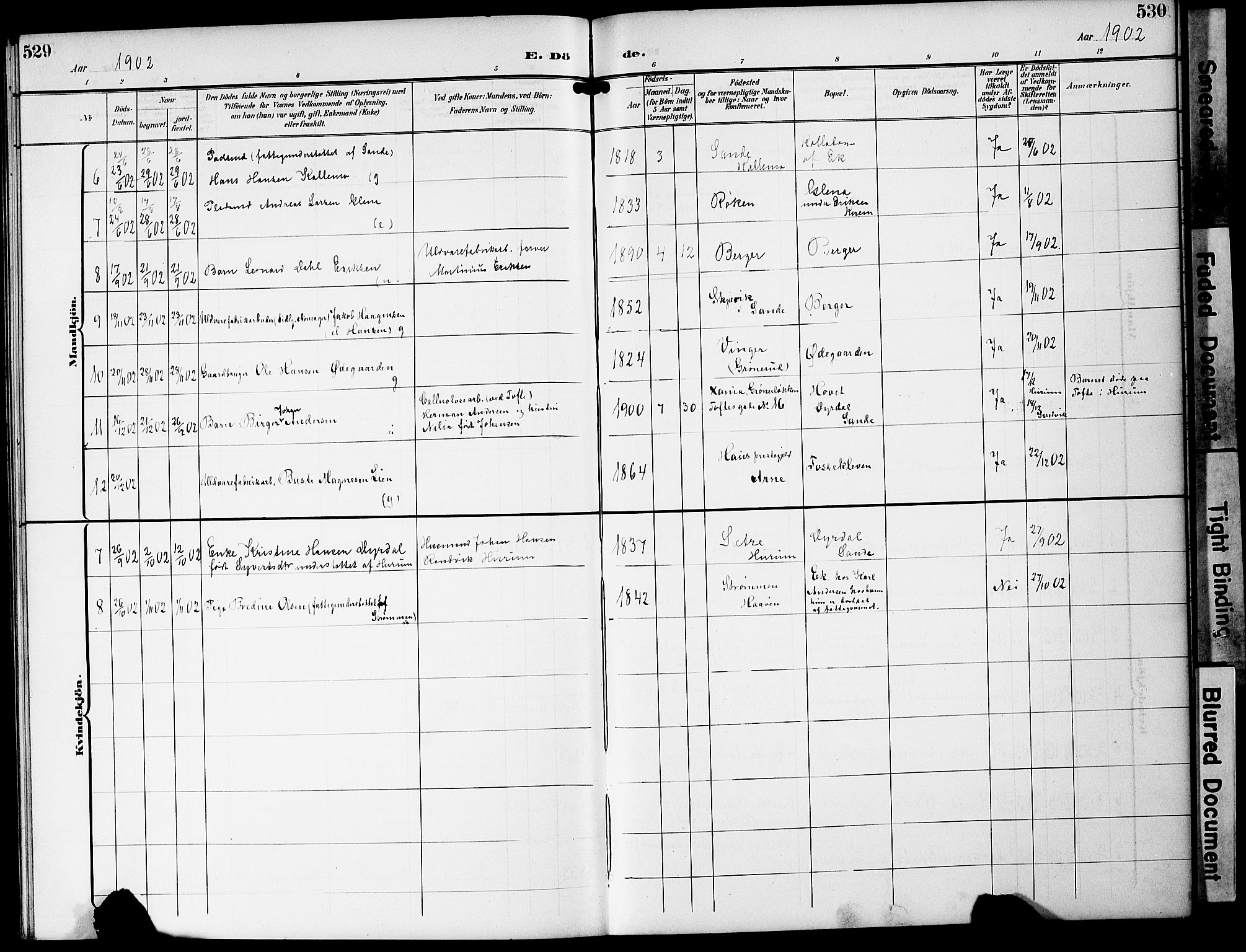 Strømm kirkebøker, AV/SAKO-A-322/G/Ga/L0004: Parish register (copy) no. I 4, 1897-1927, p. 529-530