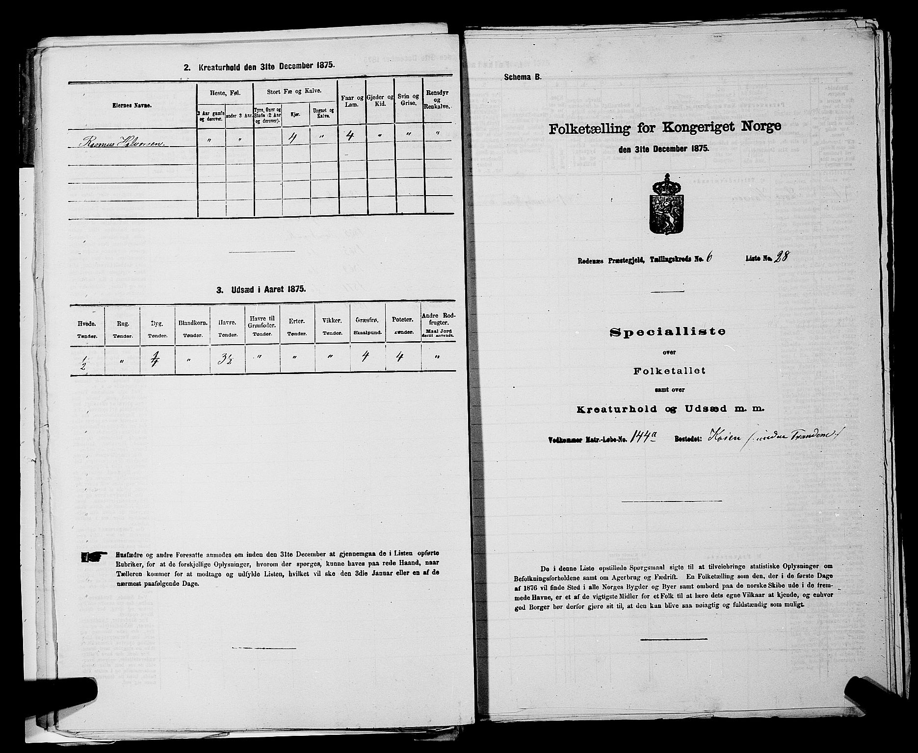 RA, 1875 census for 0120P Rødenes, 1875, p. 844